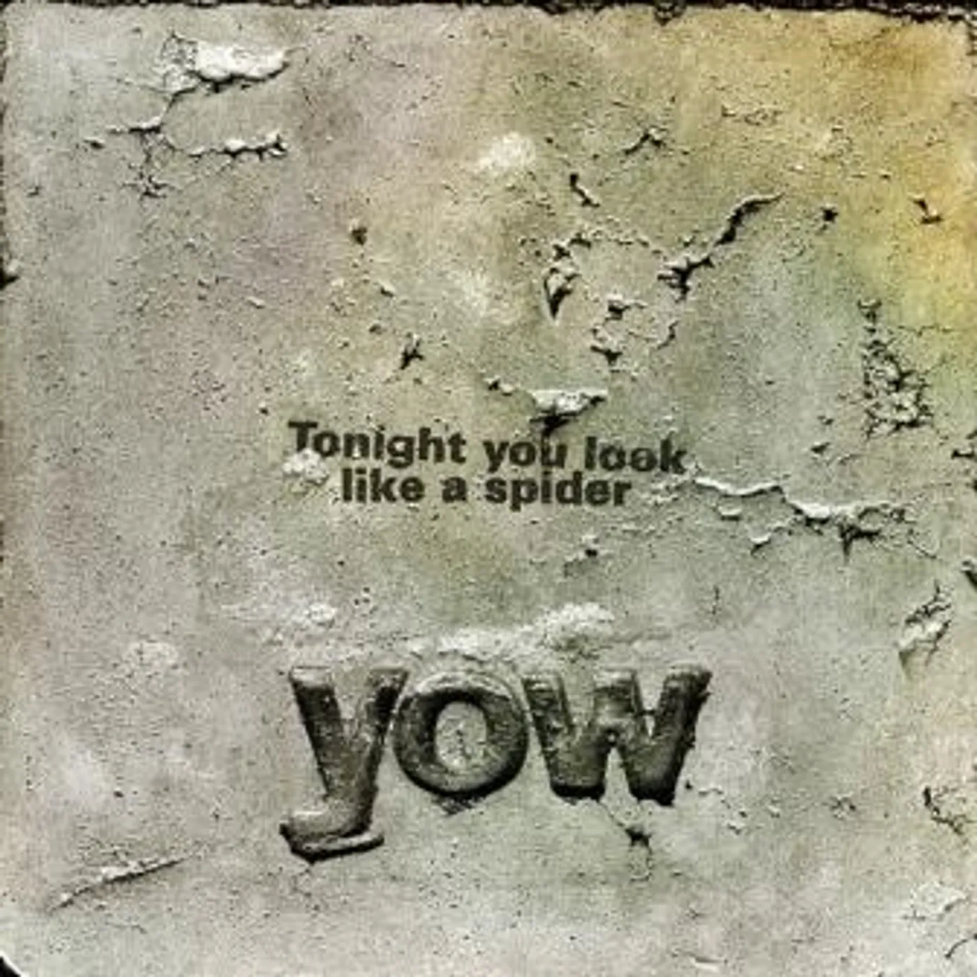 David Yow TONIGHT YOU LOOK LIKE A SPIDER Vinyl Record