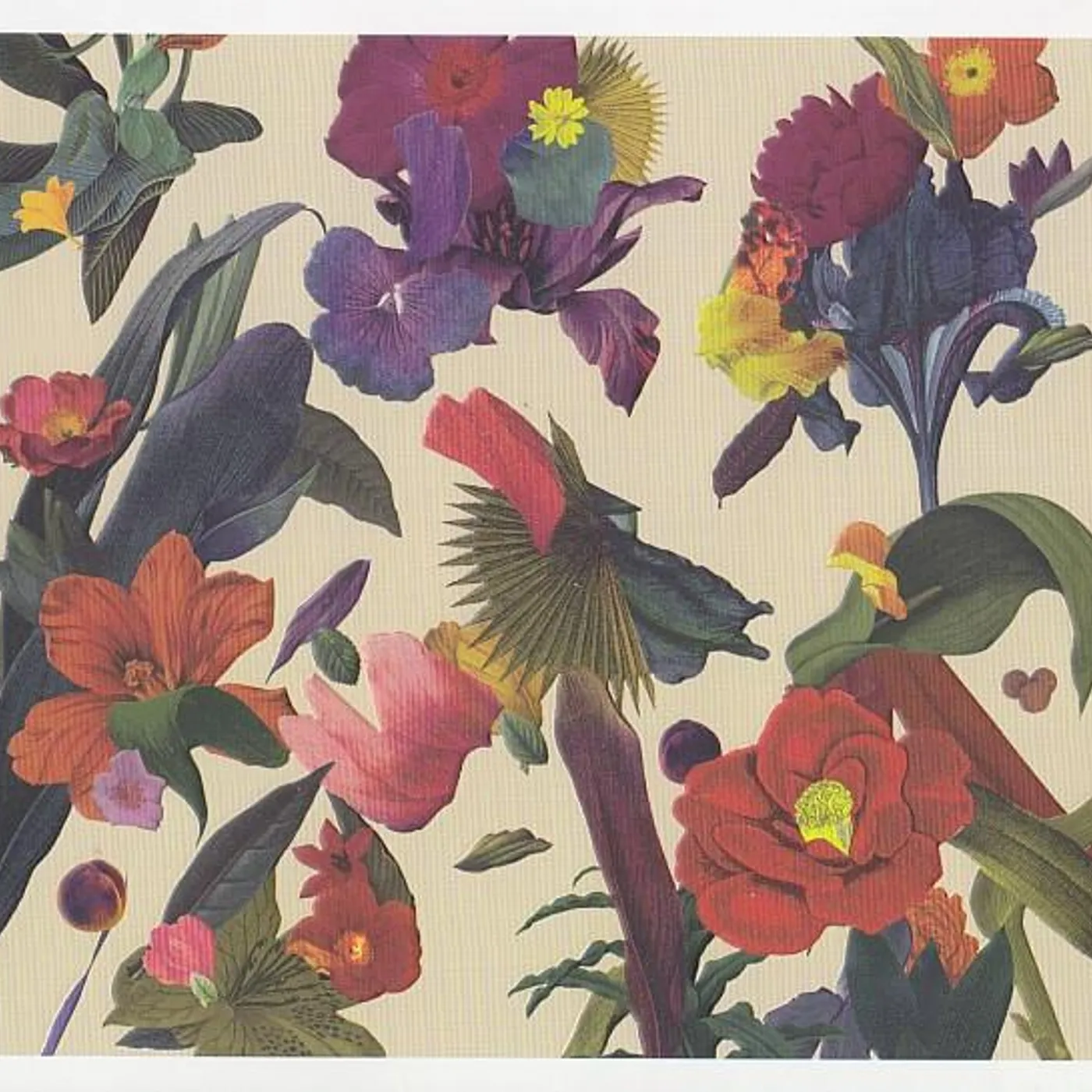Washed Out PARACOSM CD