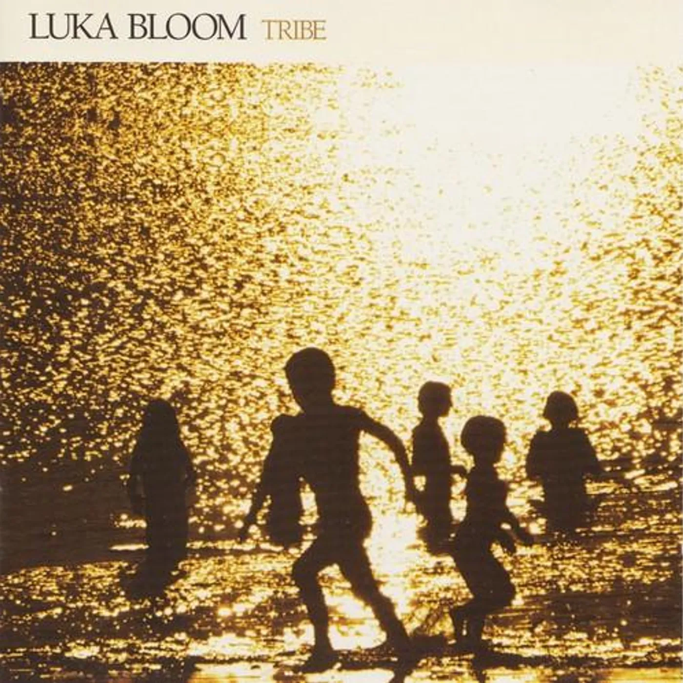 Luka Bloom TRIBE CD