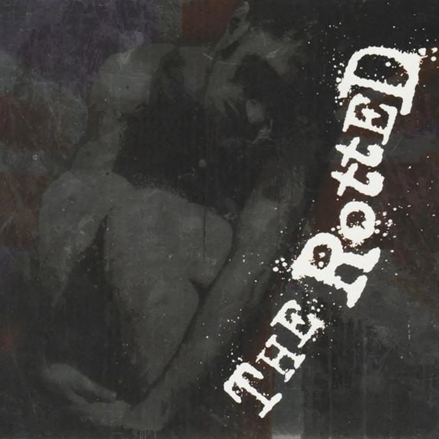 The Rotted GET DEAD OR DIE TRYING CD