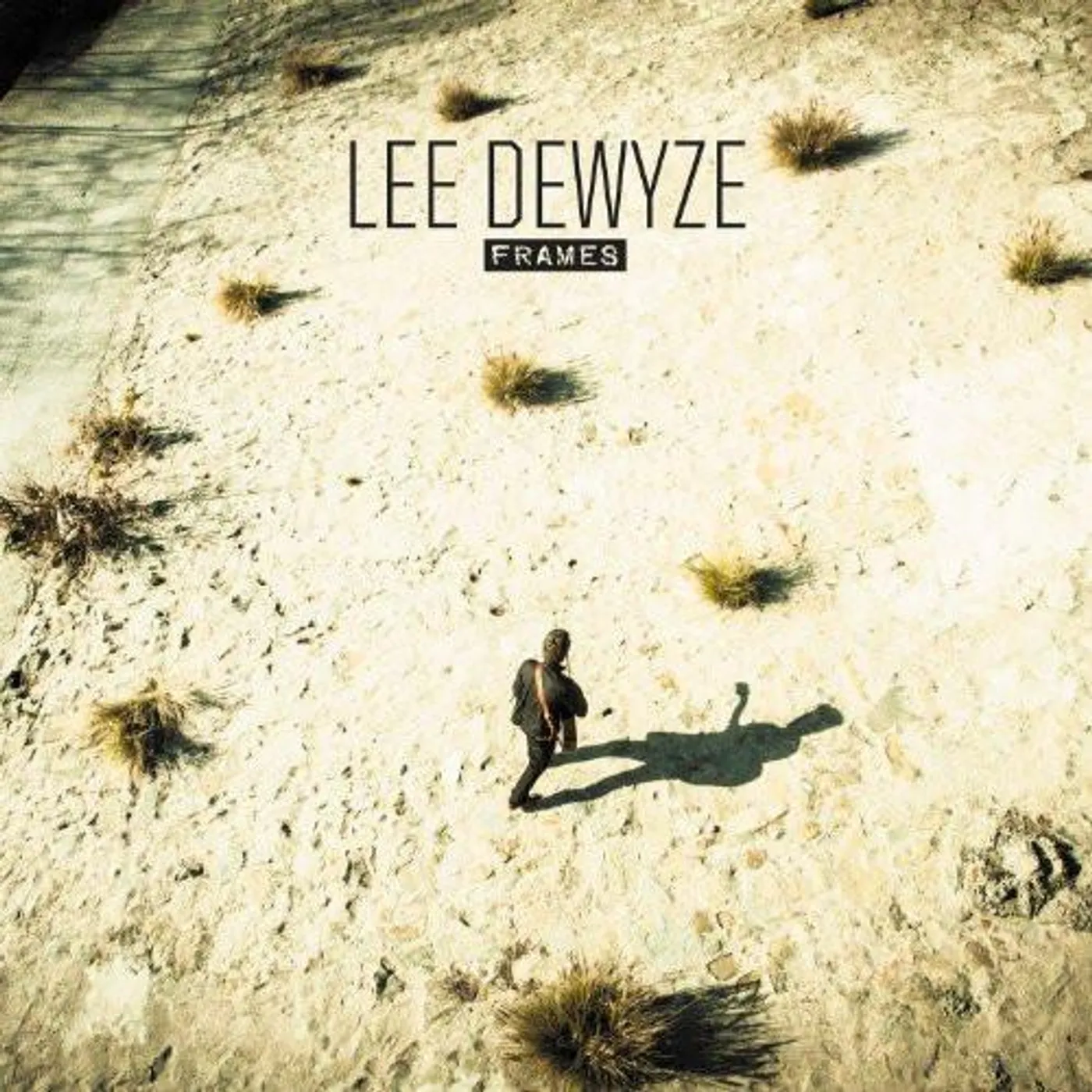 Lee DeWyze Frames Vinyl Record