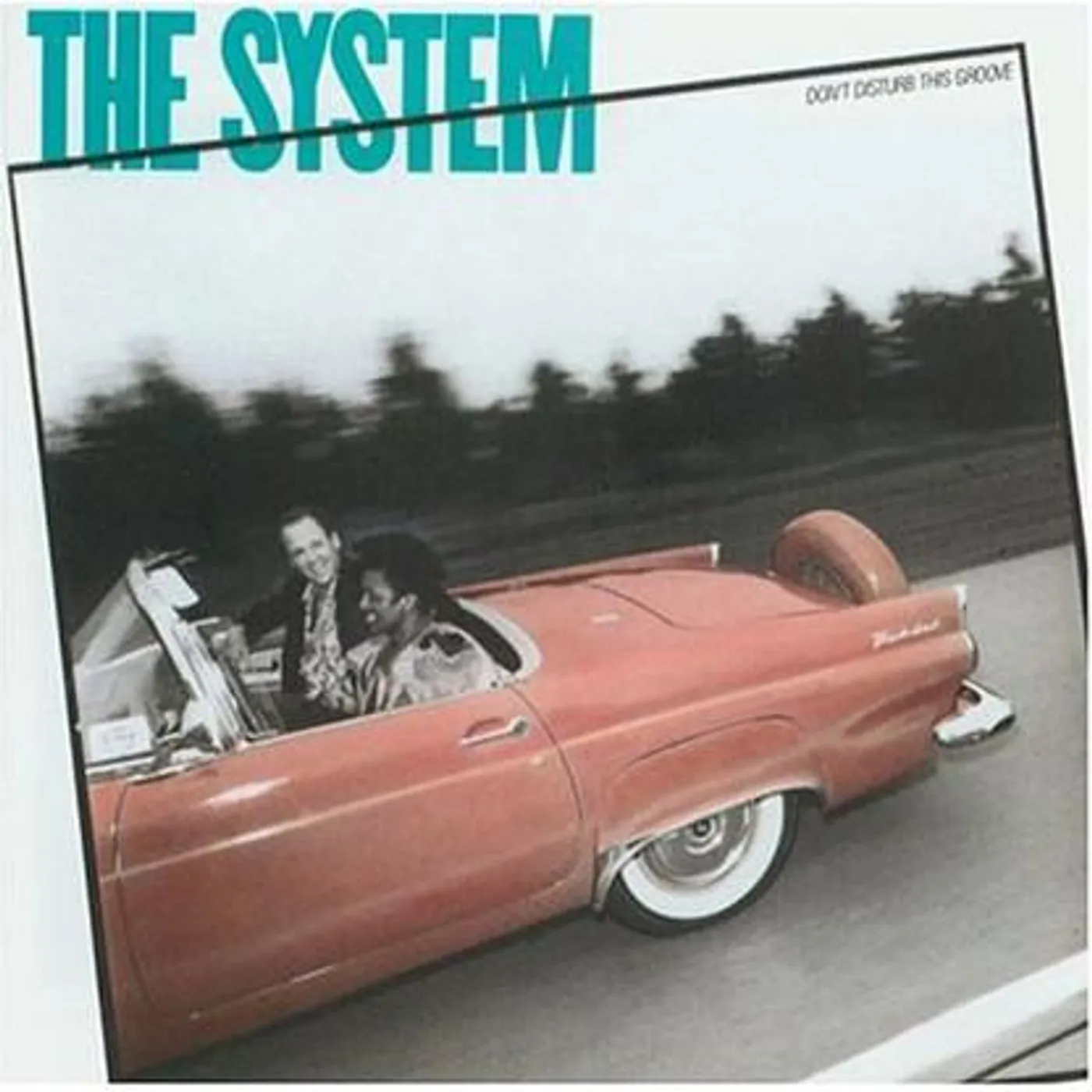 System DON'T DISTURB THIS GROOVE CD