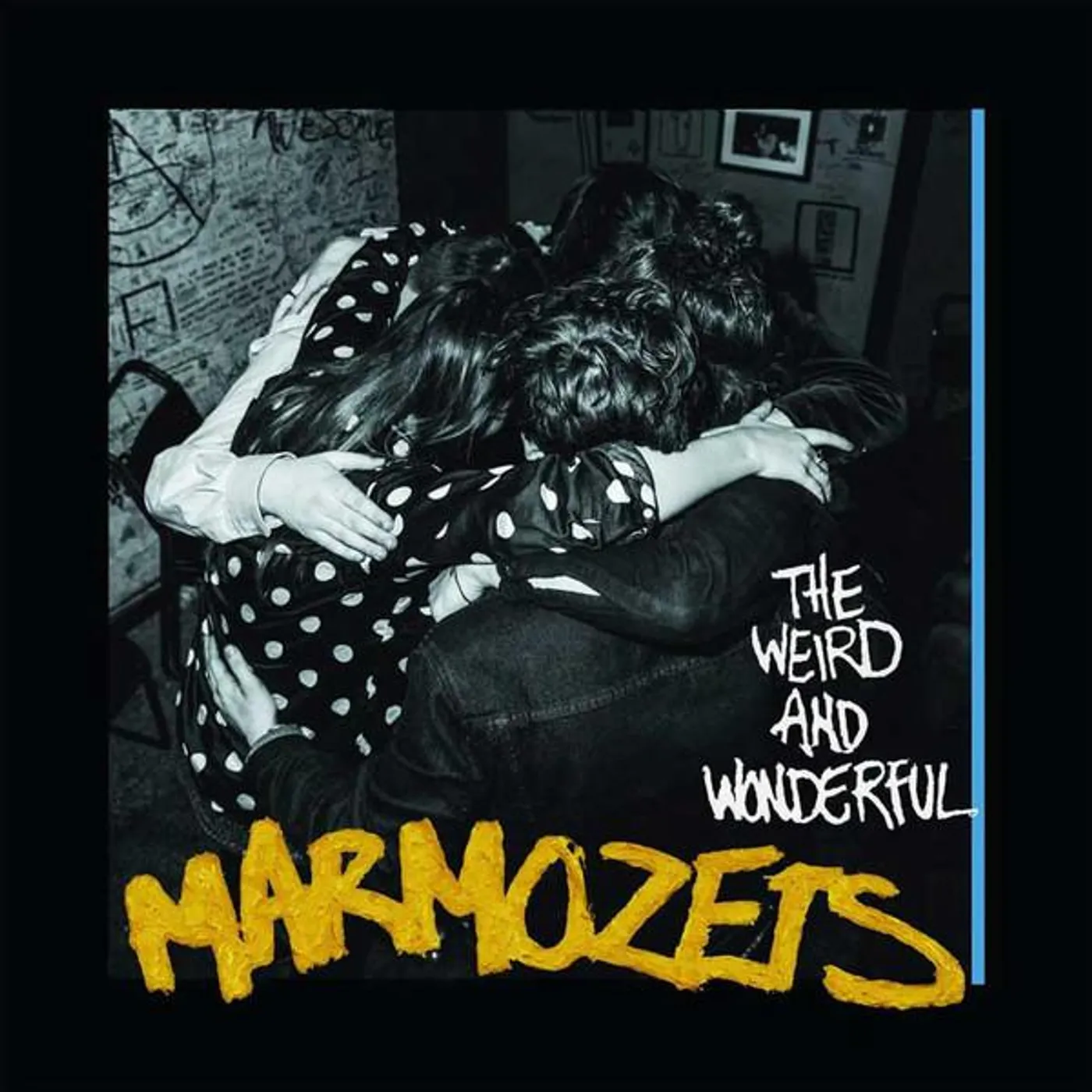 WEIRD & WONDERFUL MARMOZETS CD