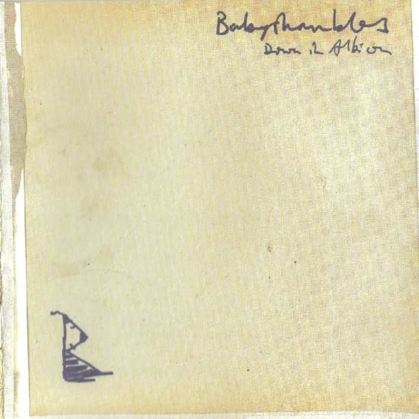 Babyshambles DOWN IN ALBION CD