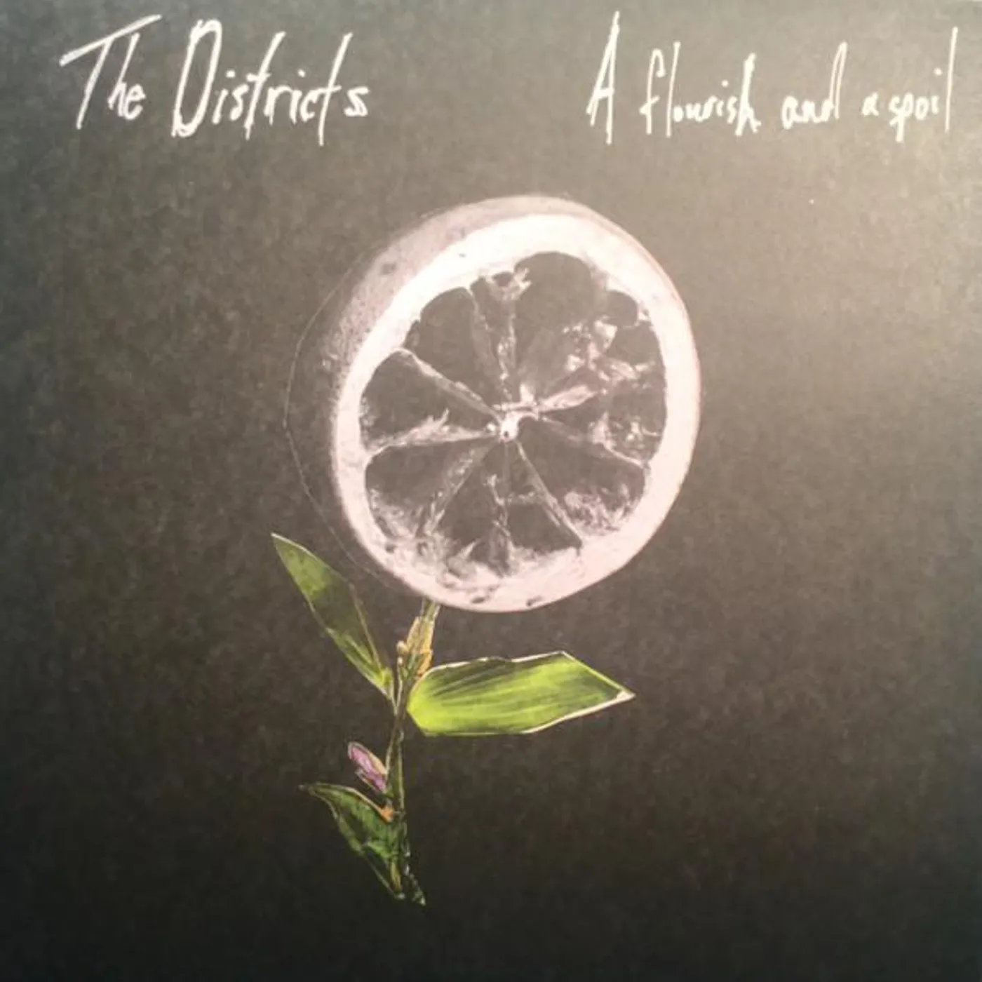 The Districts FLOURISH AND SPOIL Vinyl Record