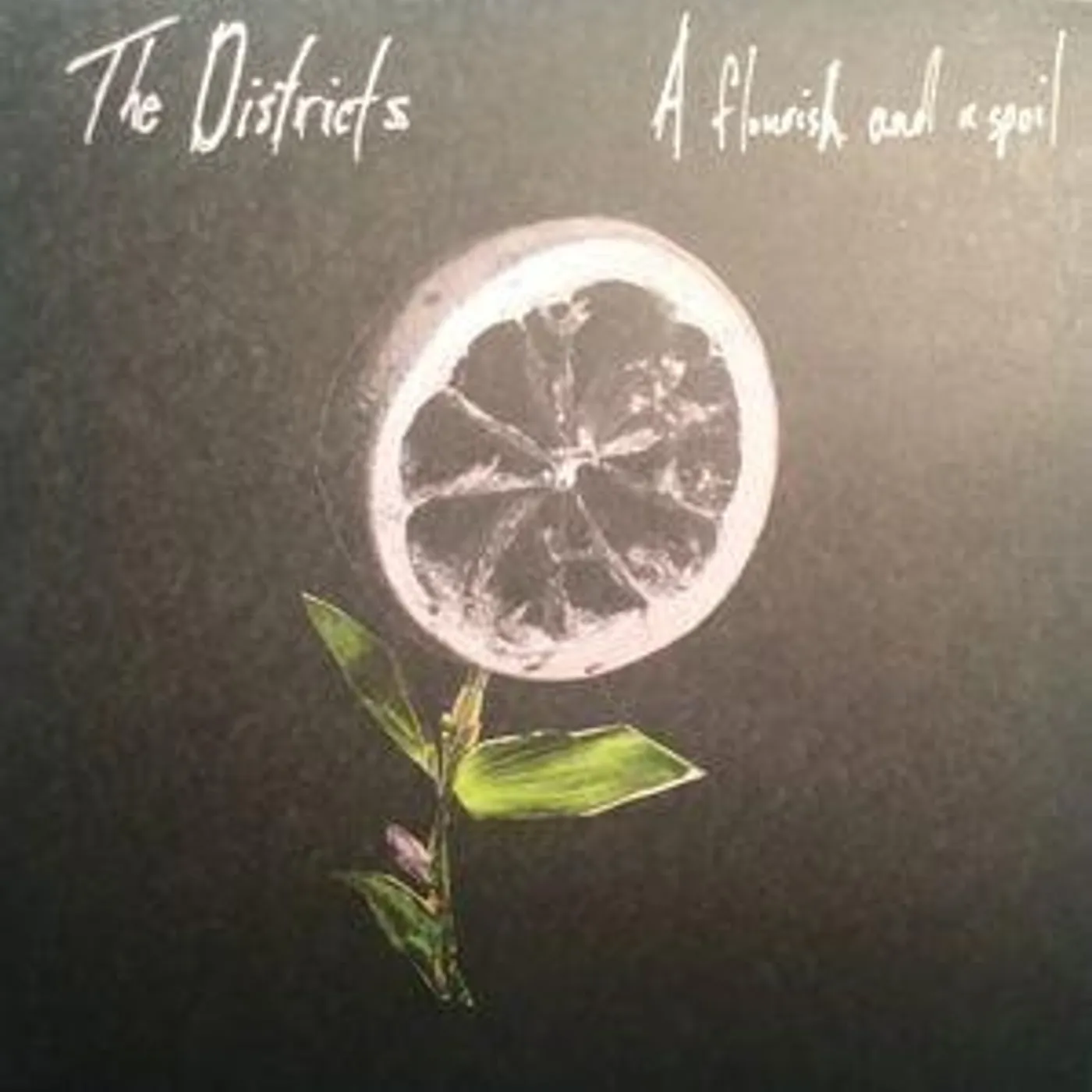 The Districts FLOURISH AND A SPOIL Vinyl Record