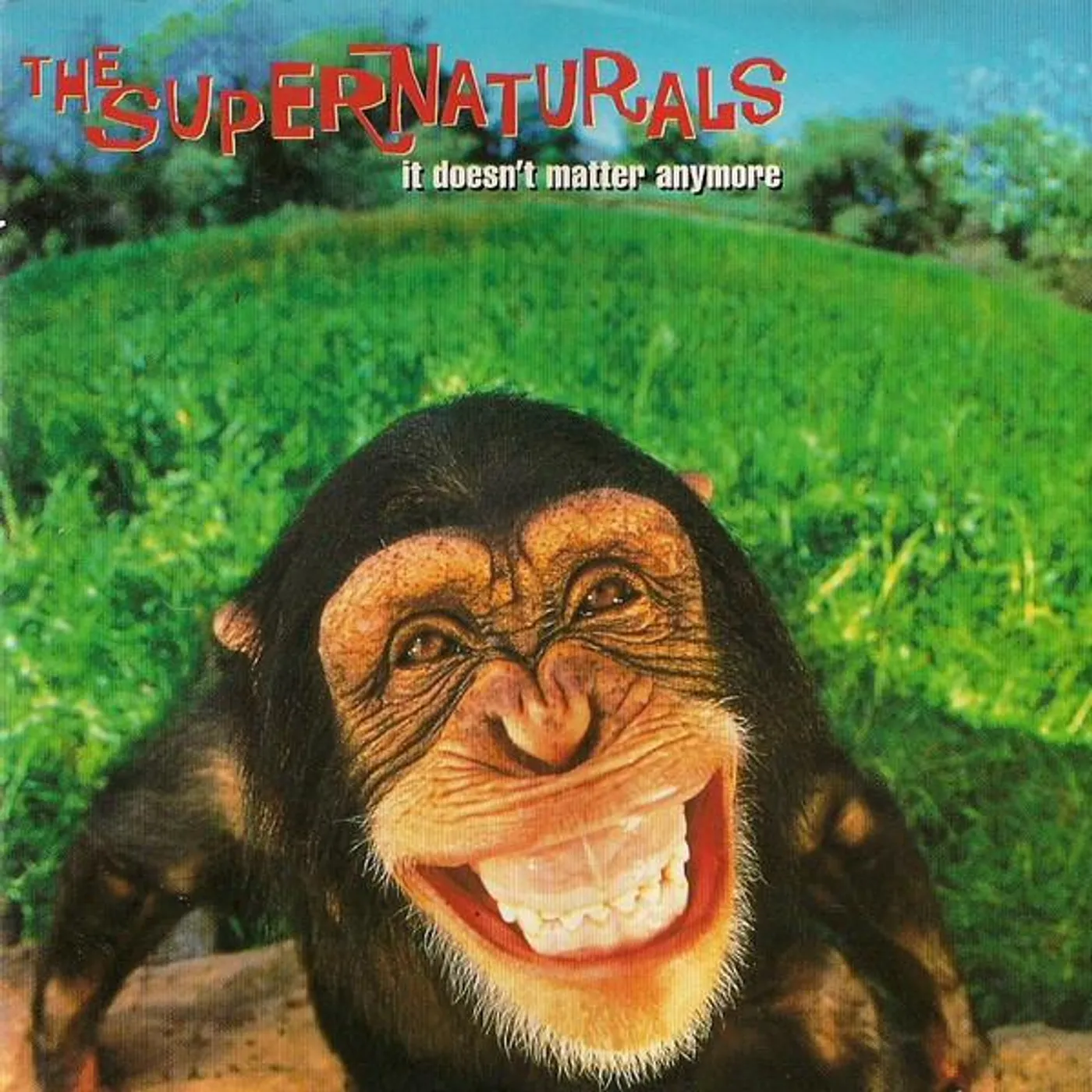 The Supernaturals IT DOESN'T MATTER ANYMORE CD
