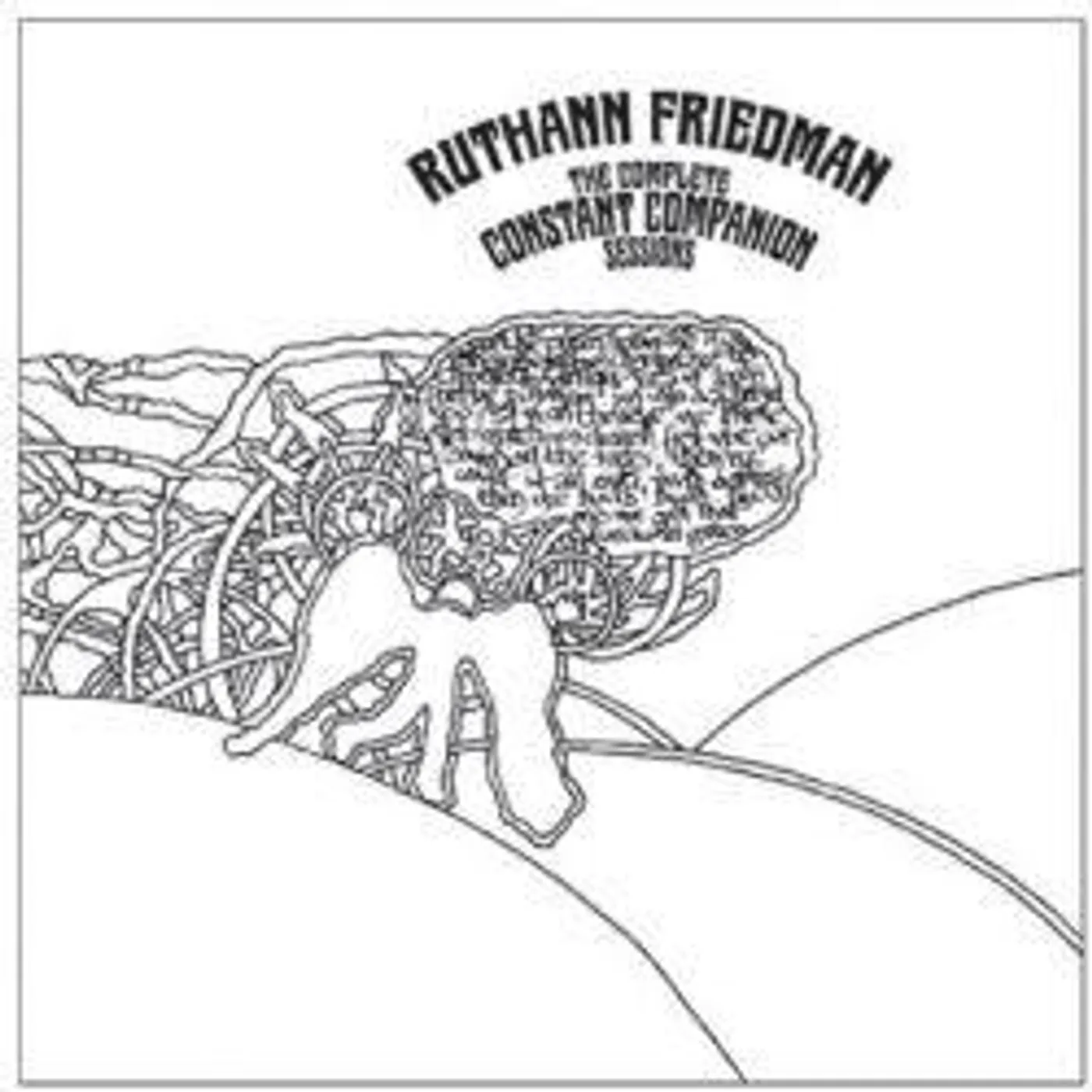 Ruthann Friedman COMPLETE CONSTANT COMPANION SESSIONS CD