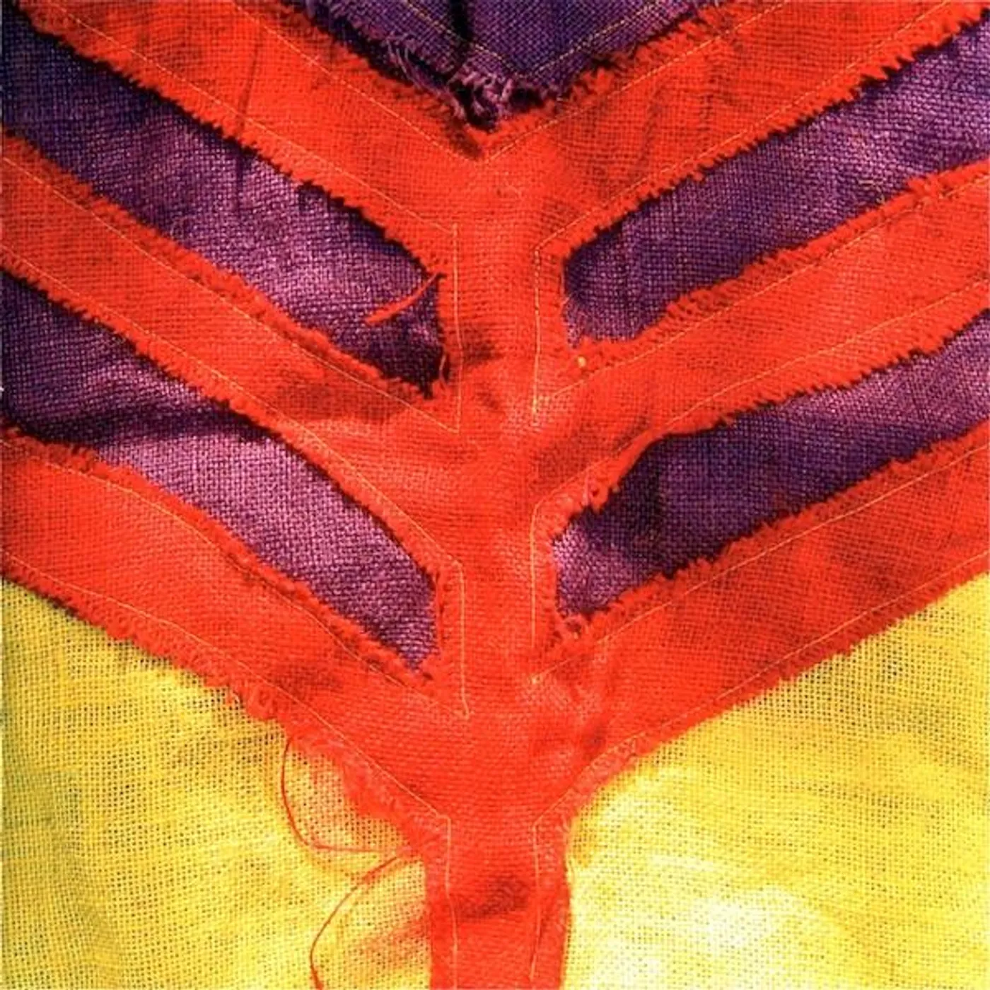 Yeah Yeah Yeahs SHOW YOUR BONES CD