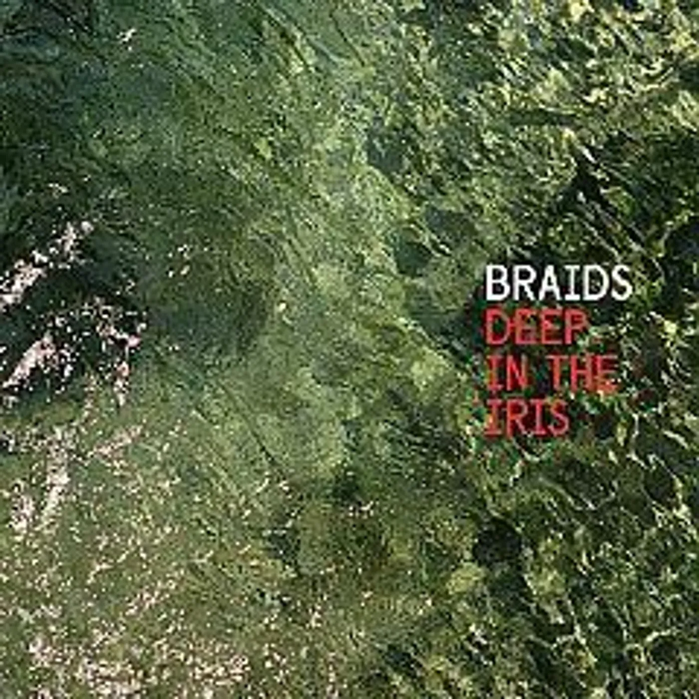 Braids Deep in the Iris Vinyl Record