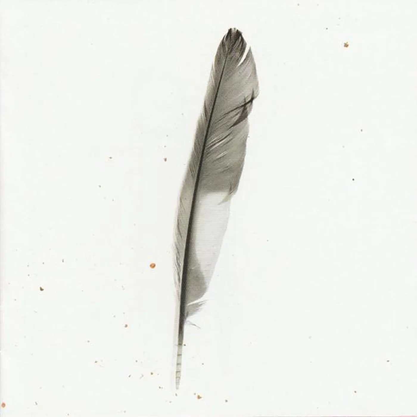 Sleeping With Sirens FEEL CD