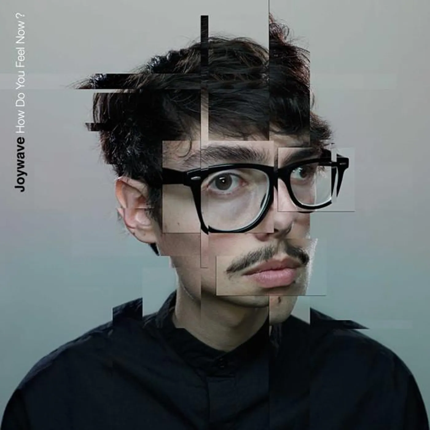 Joywave How Do You Feel Now (2LP) Vinyl Record