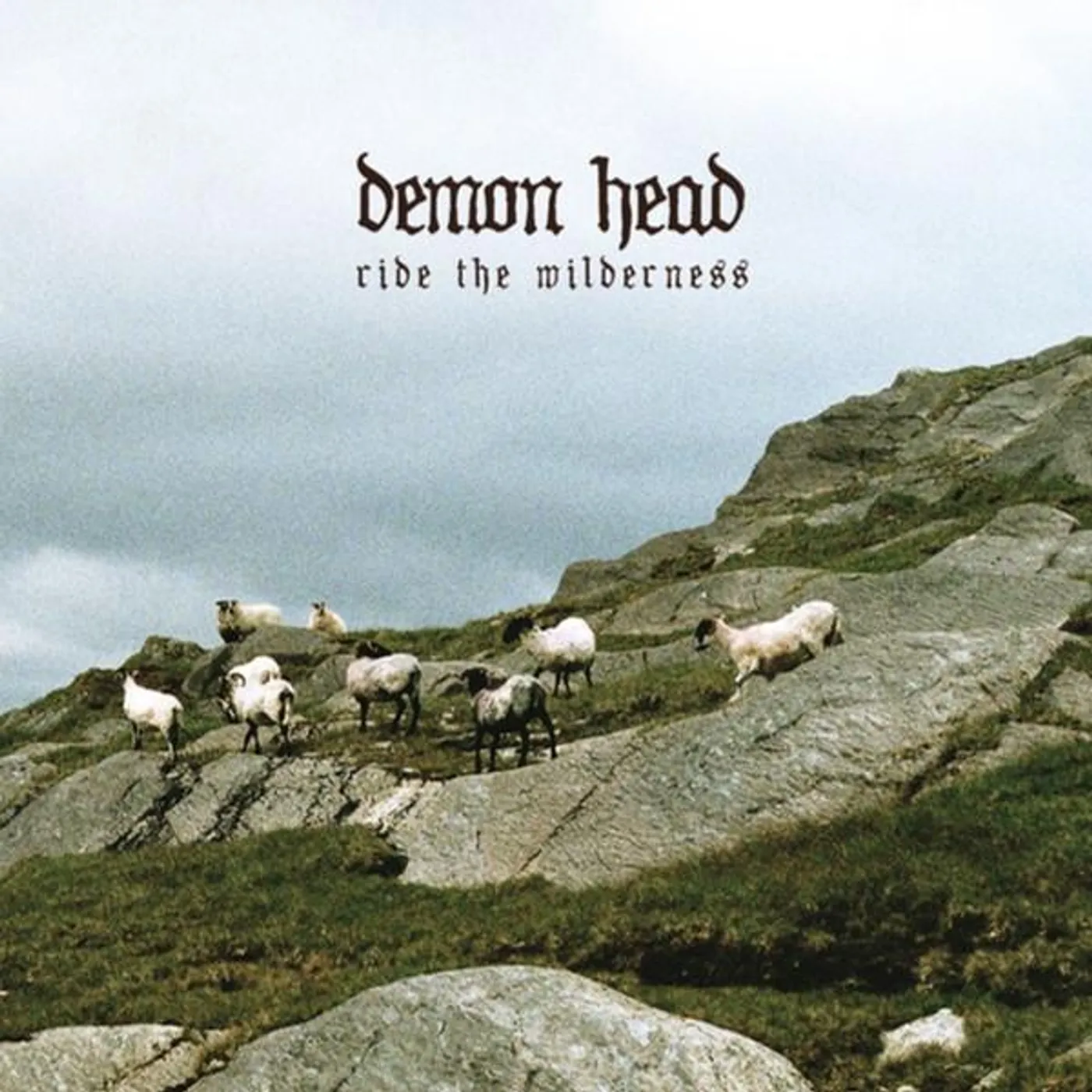 Demon Head RIDE THE WILDERNESS Vinyl Record