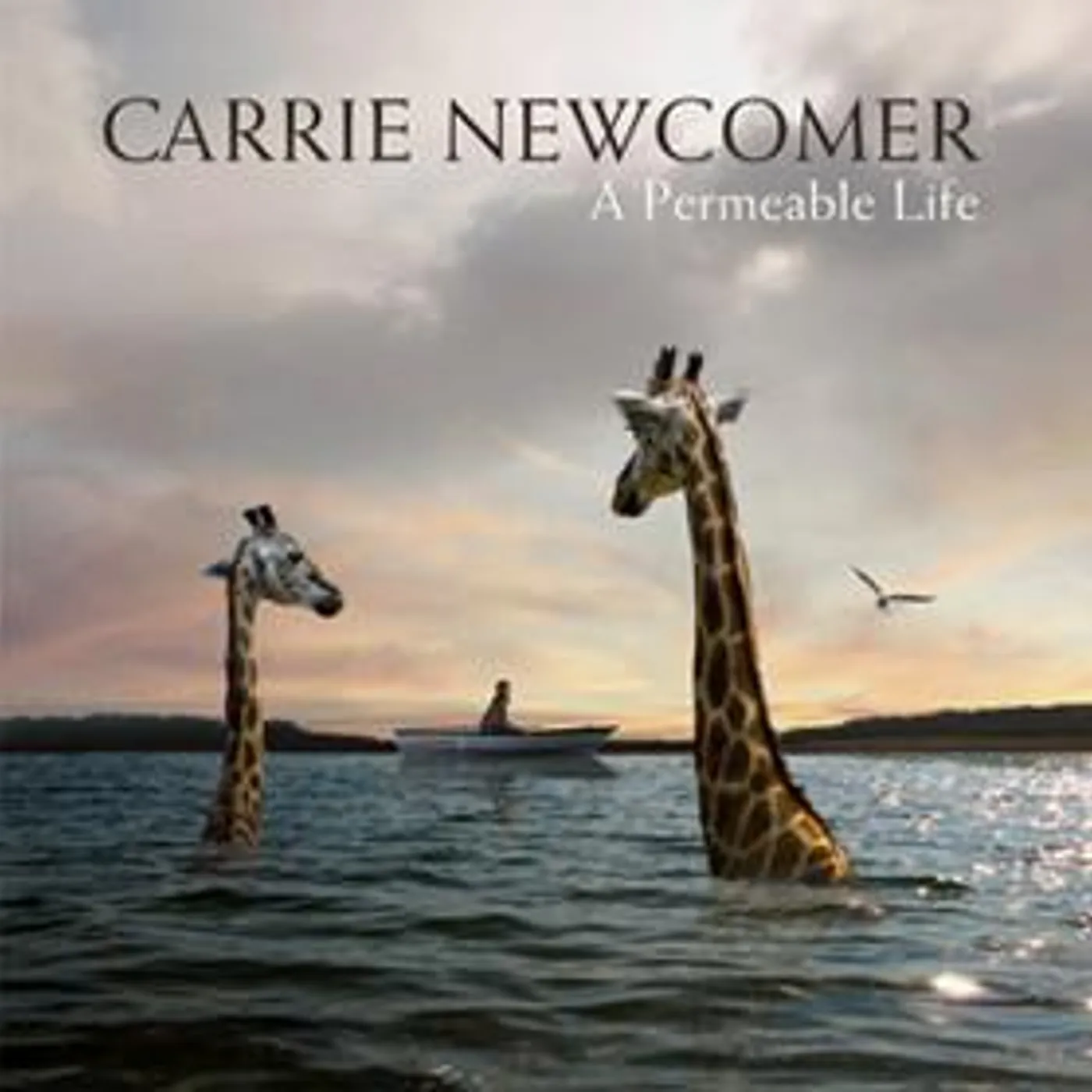 Carrie Newcomer PERMEABLE LIFE Vinyl Record