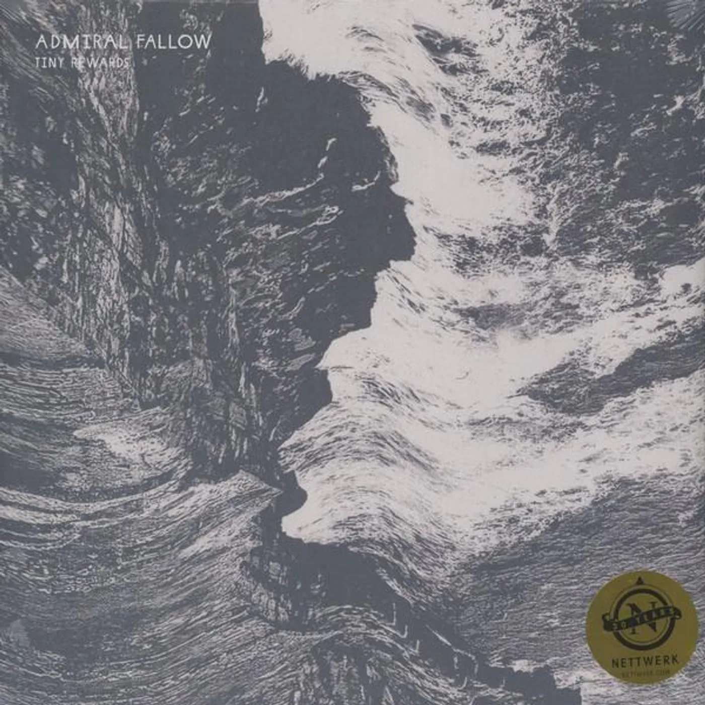 Admiral Fallow TINY REWARDS (DL CARD) Vinyl Record