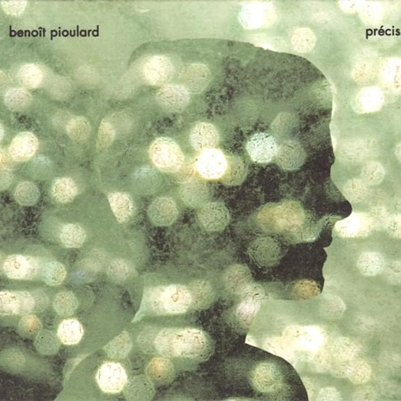 Benoît Pioulard 59961 PRECIS CD