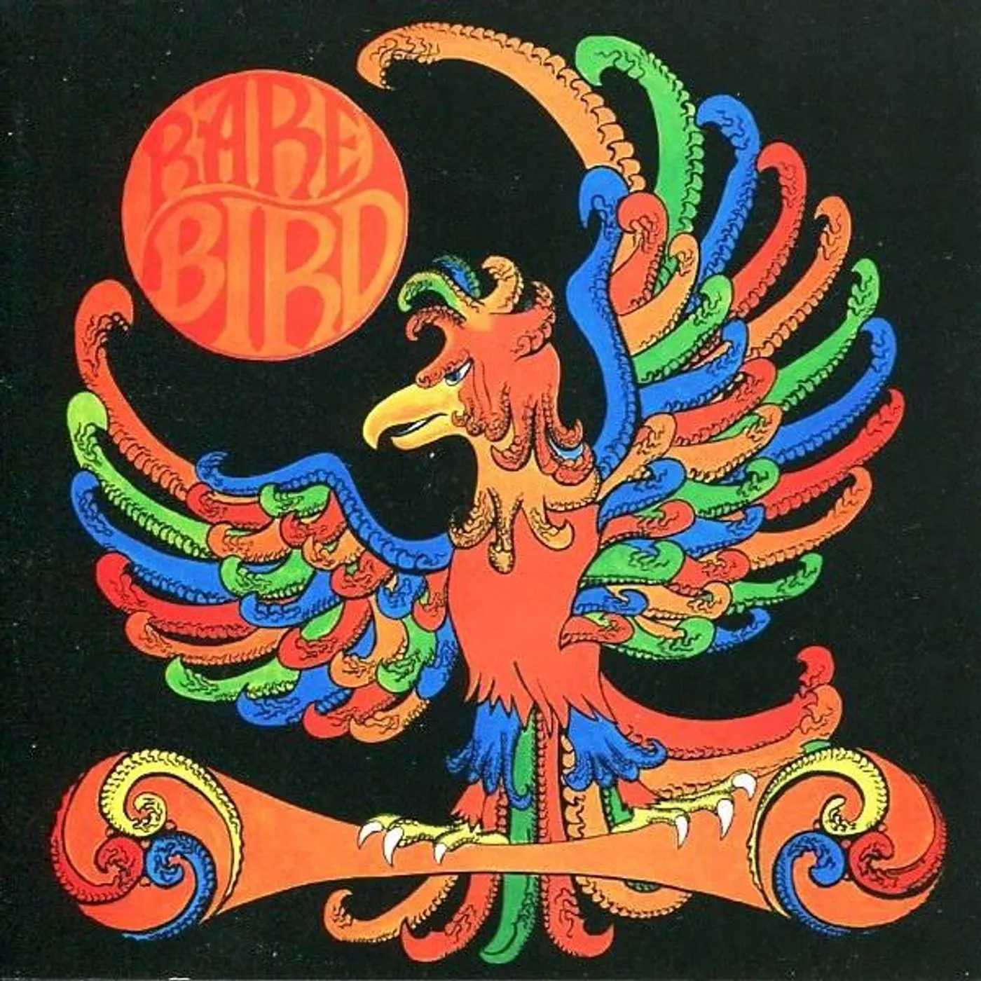 RARE BIRD CD