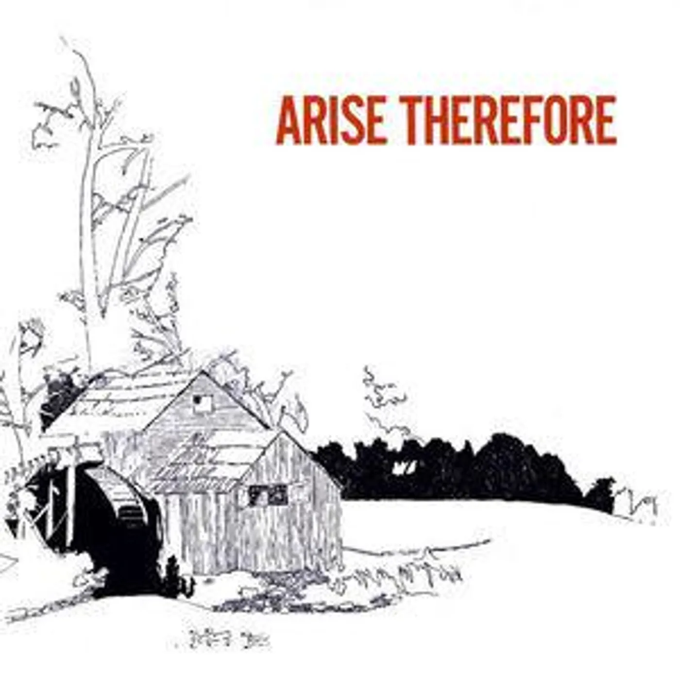 Palace Music ARISE THEREFORE Vinyl Record