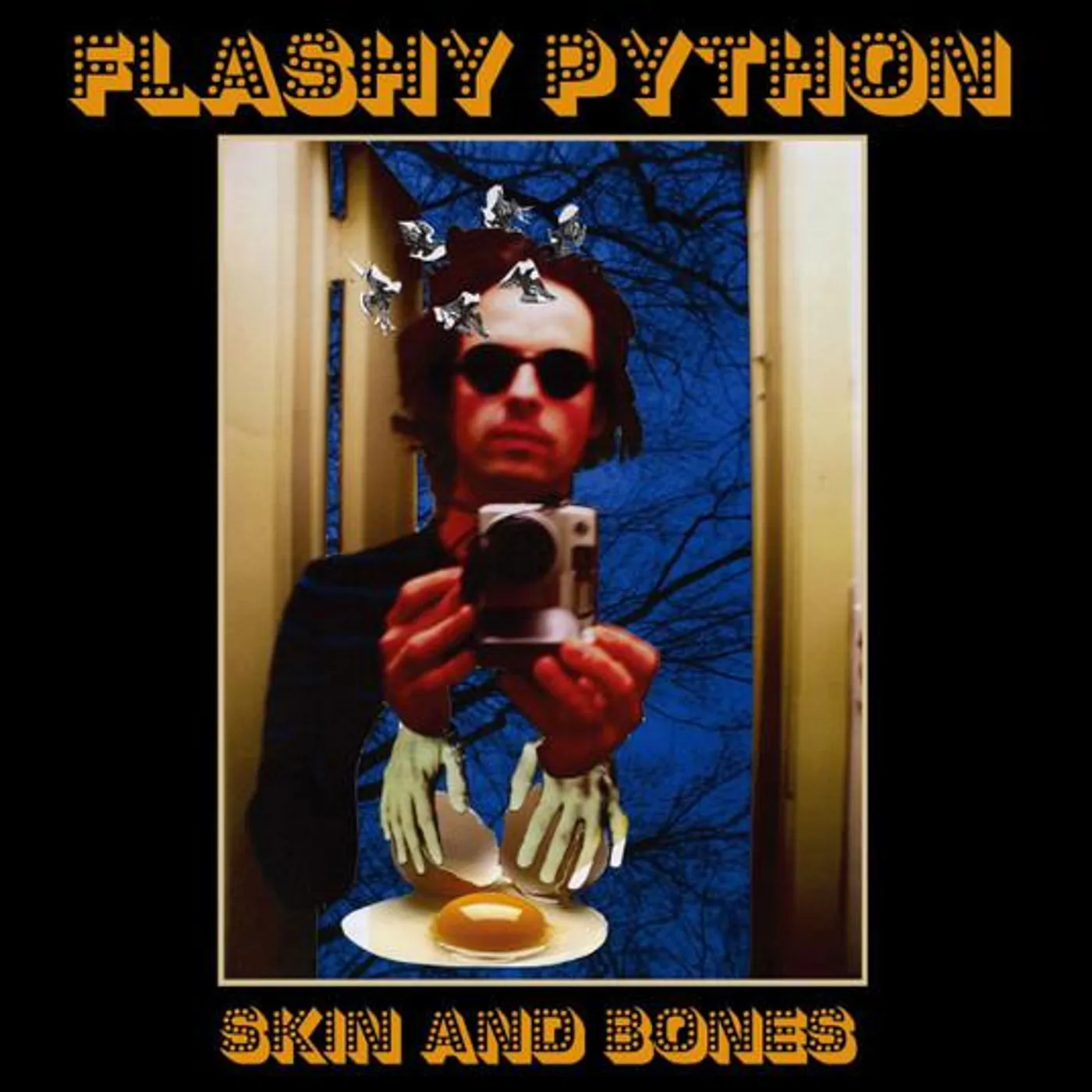 Flashy Python SKIN & BONES CD