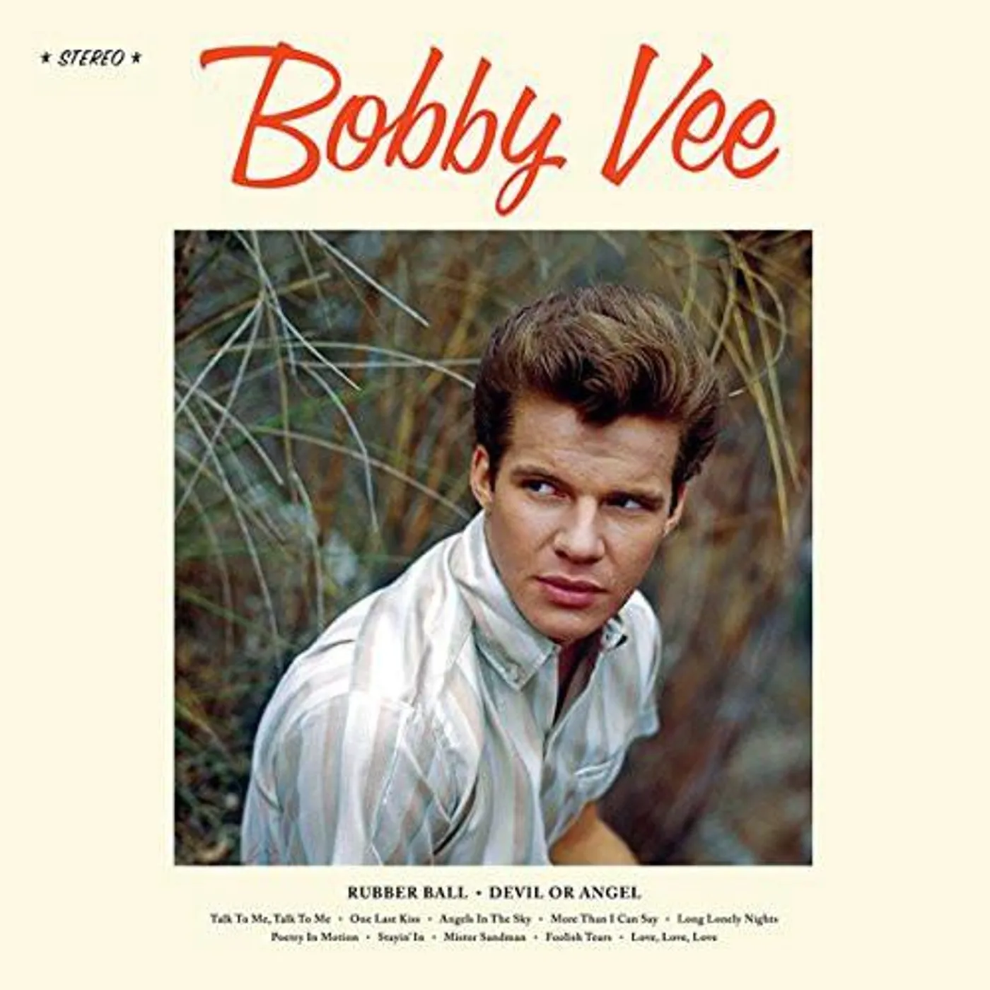 Bobby Vee Vinyl Record