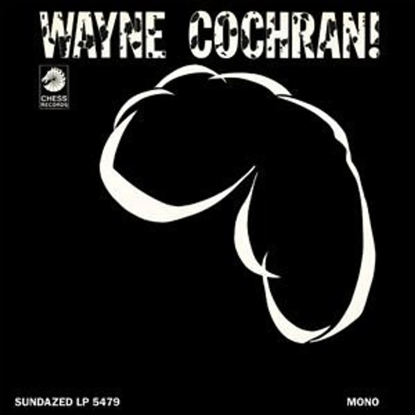 WAYNE COCHRAN Vinyl Record