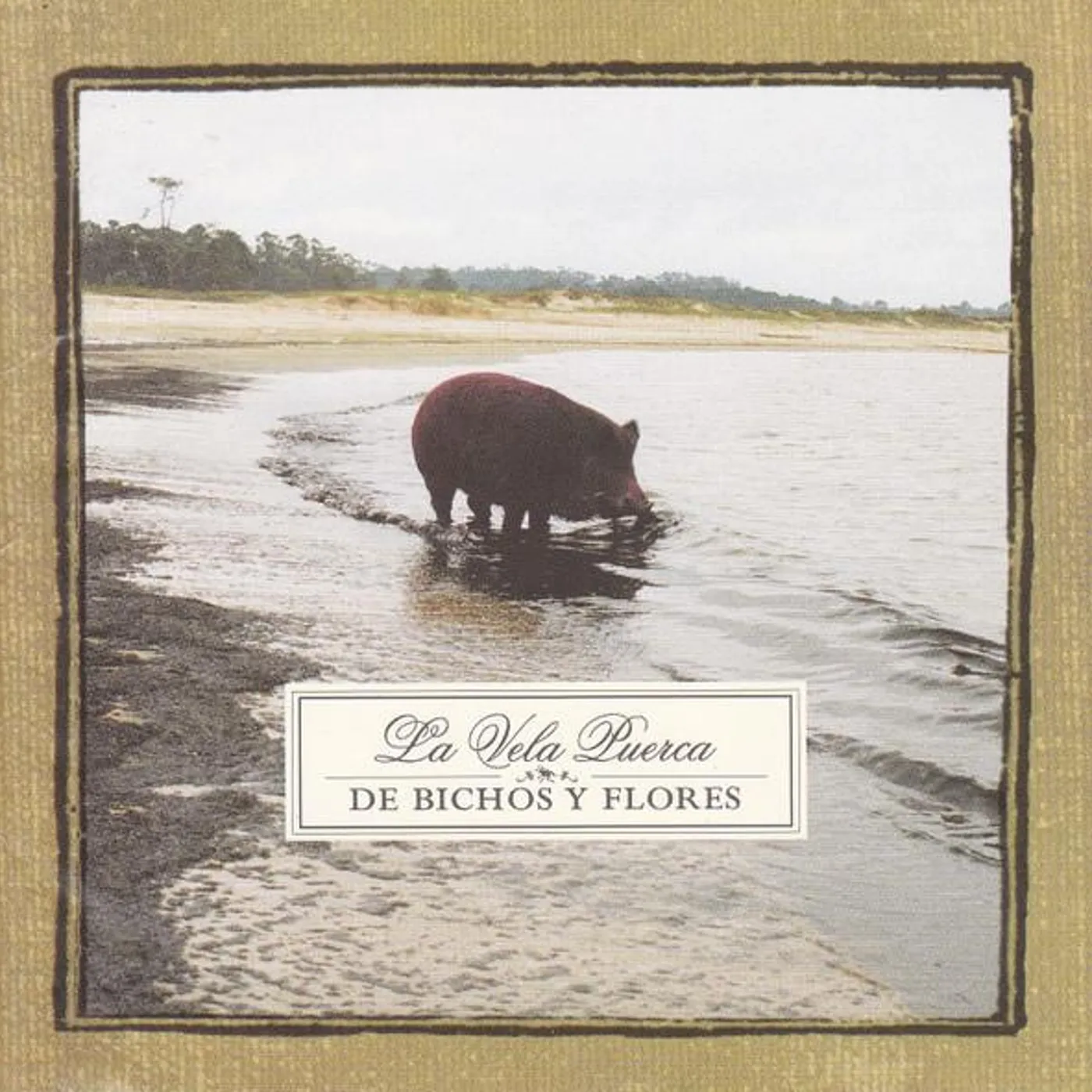 La Vela Puerca BICHOS Y FLORES CD