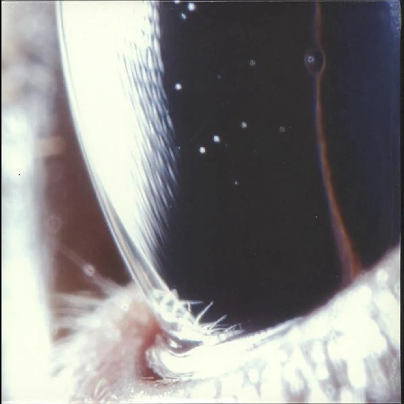 Roly Porter THIRD LAW Vinyl Record