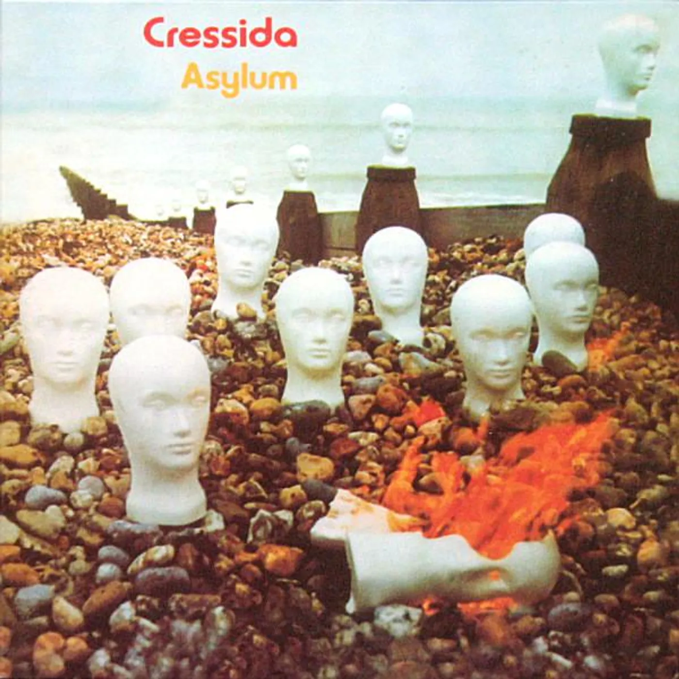 Cressida Asylum Vinyl Record