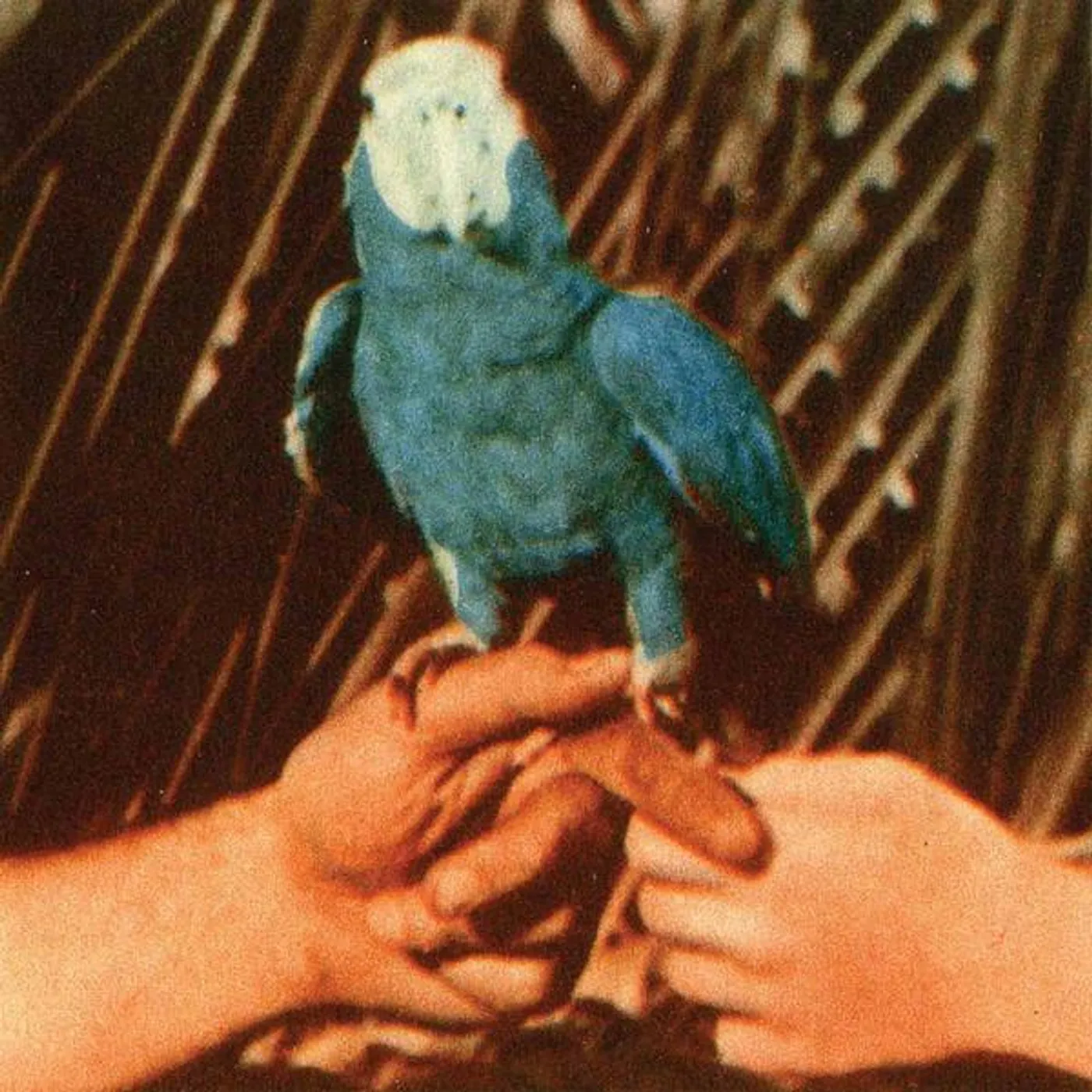 Andrew Bird Are You Serious Vinyl Record