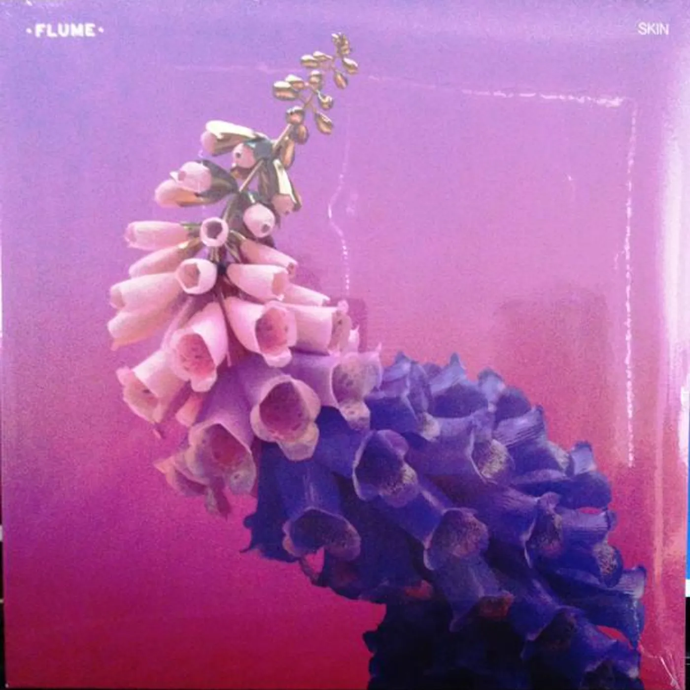 Flume Skin Vinyl Record