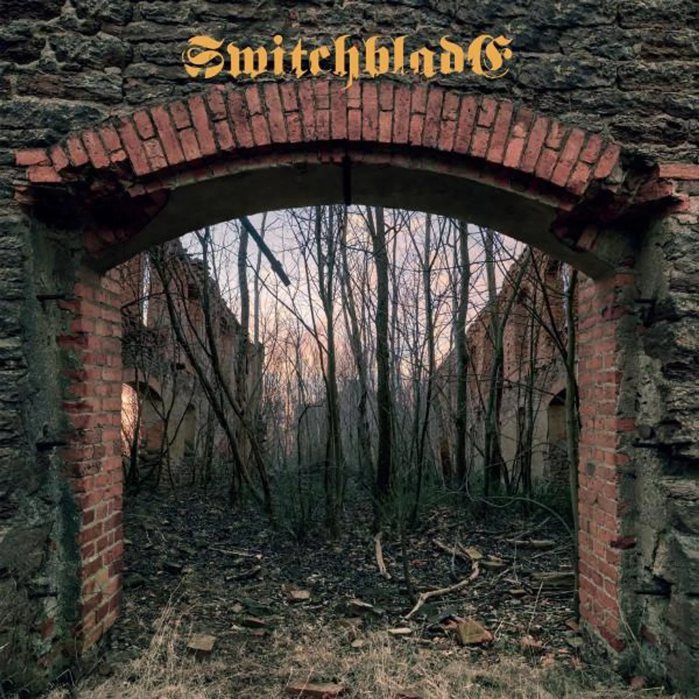 SWITCHBLADE Vinyl Record