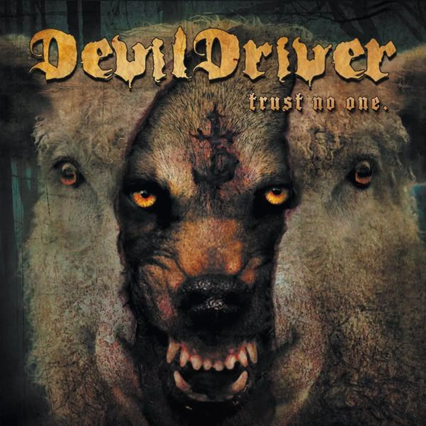 DevilDriver TRUST NO ONE (DL CARD) Vinyl Record