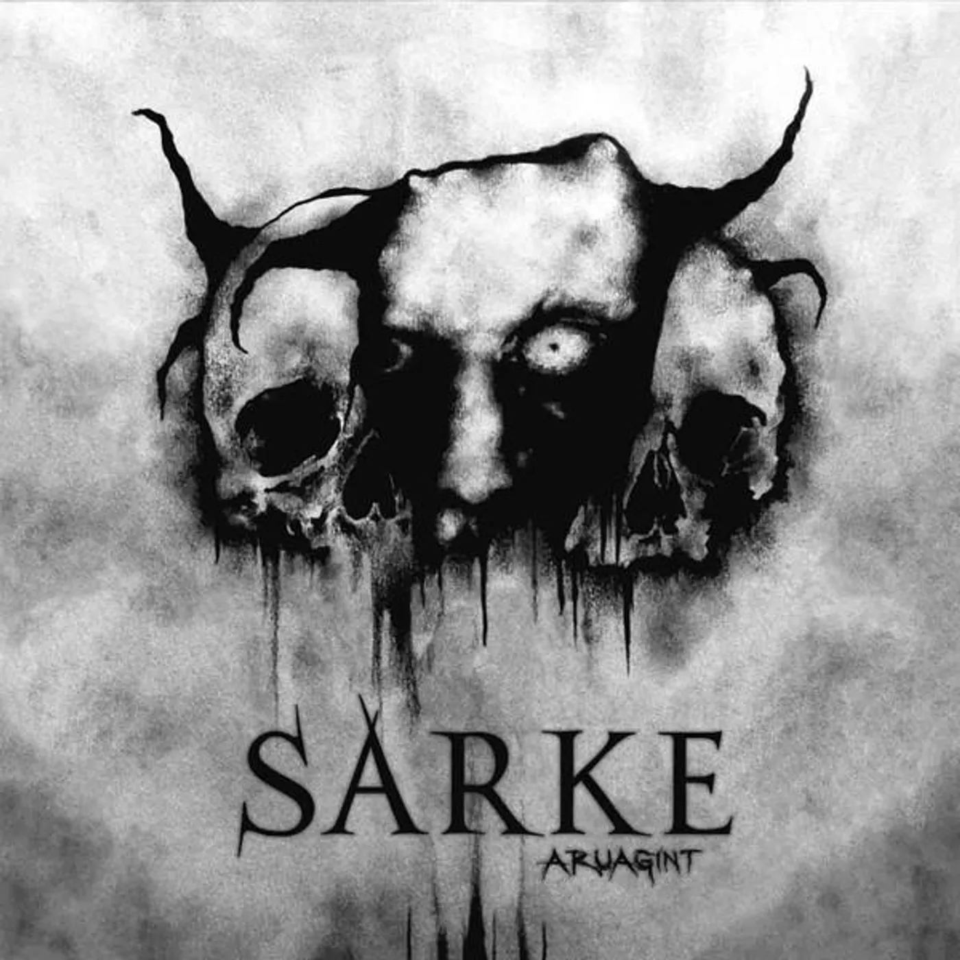 Sarke ARUAGINT Vinyl Record