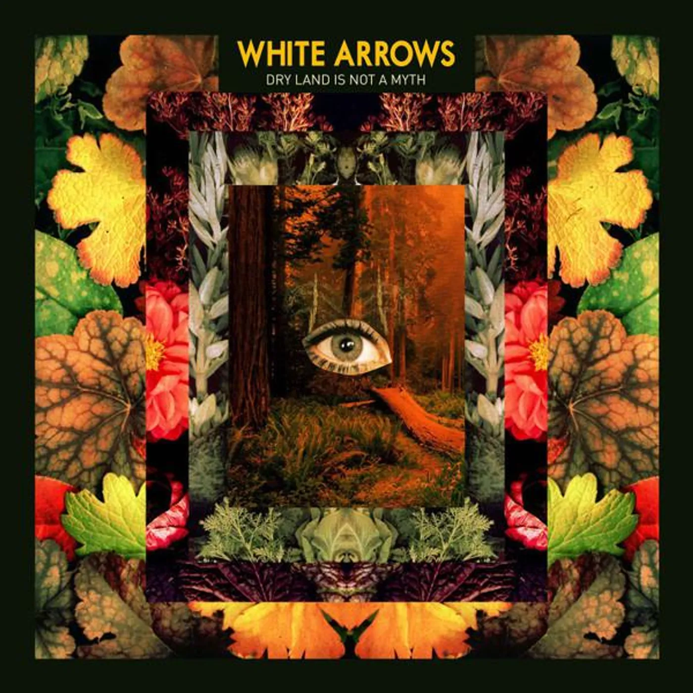 White Arrows DRY LAND IS NOT A MYTH CD