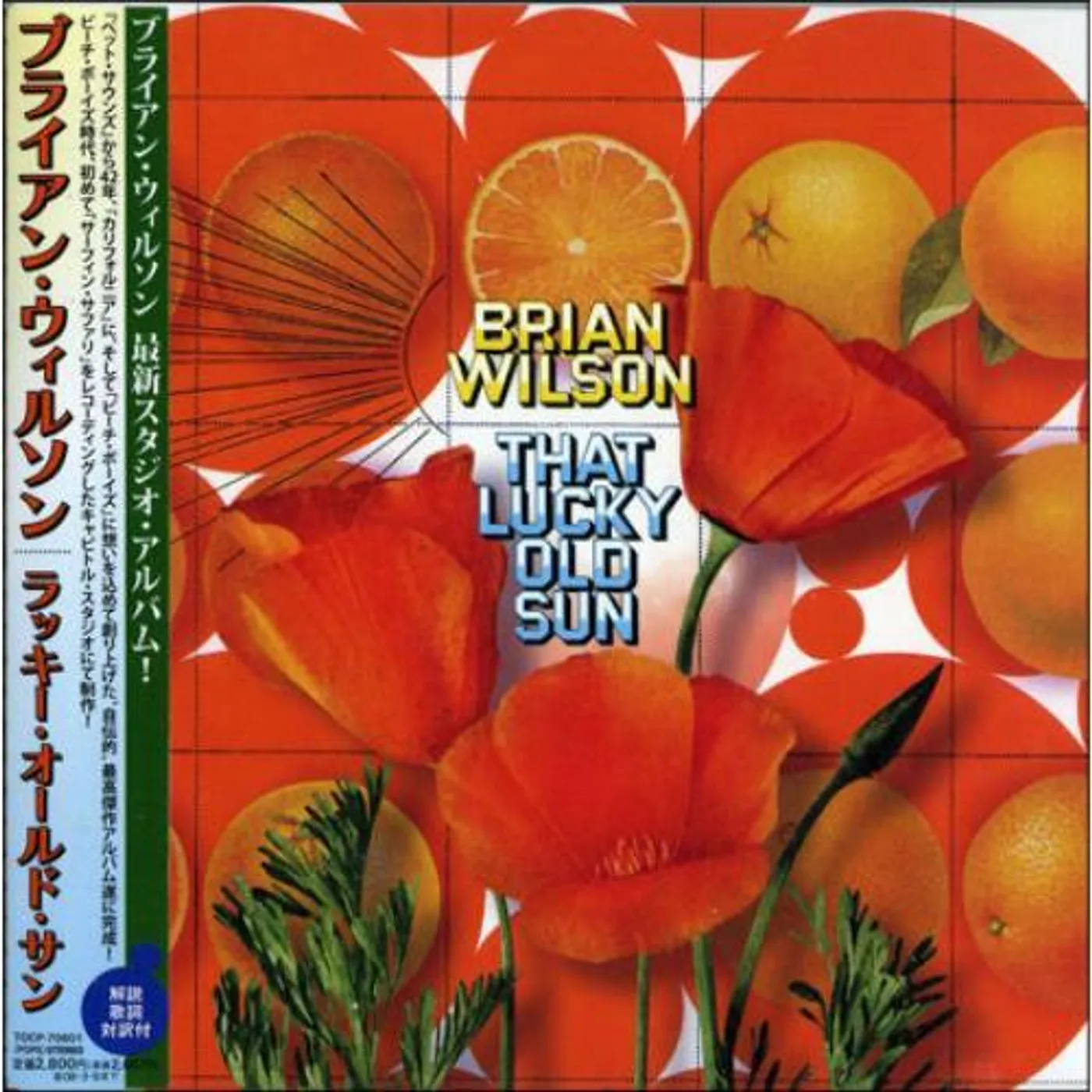 Brian Wilson THAT LUCKY OLD SUN CD