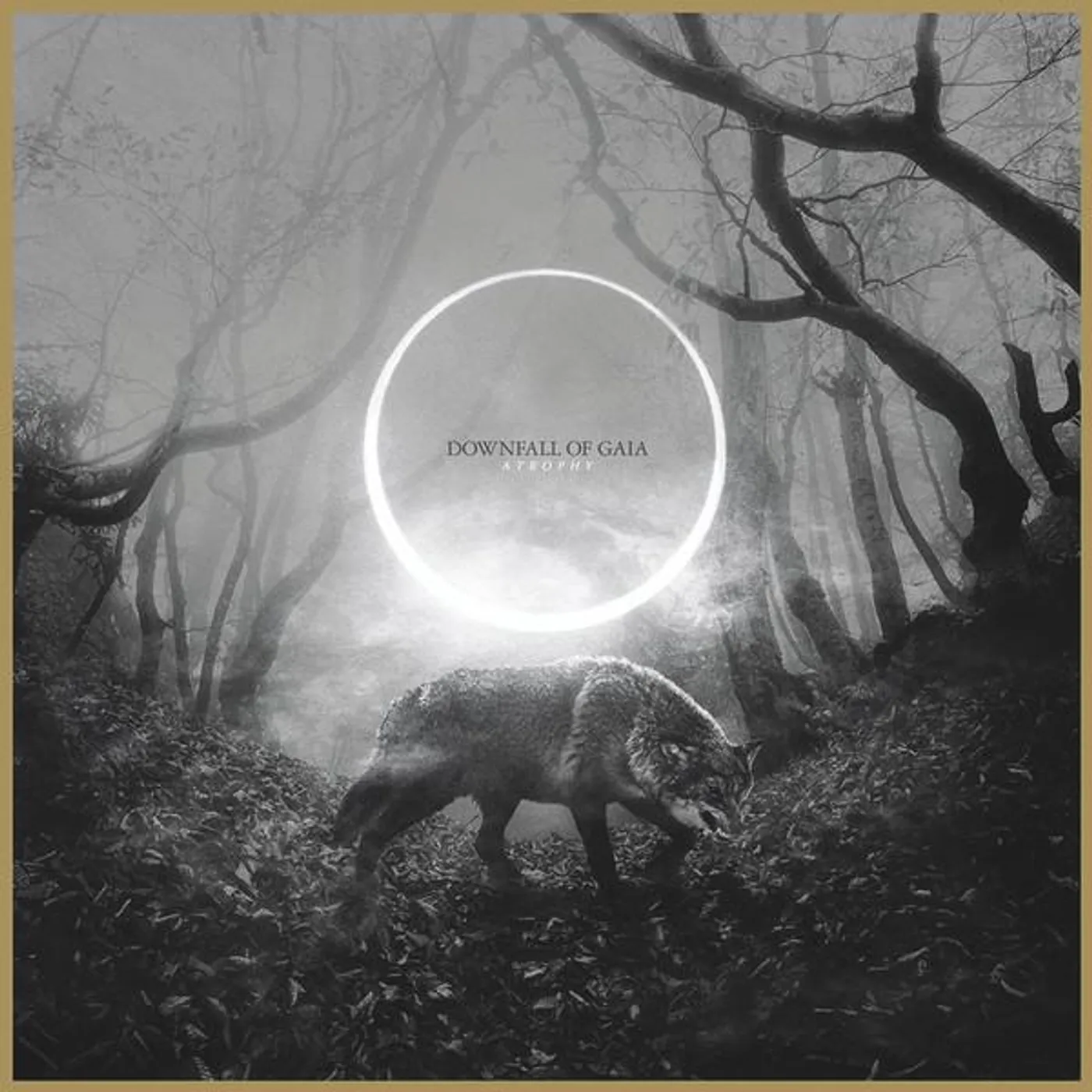 Downfall Of Gaia Atrophy Vinyl Record