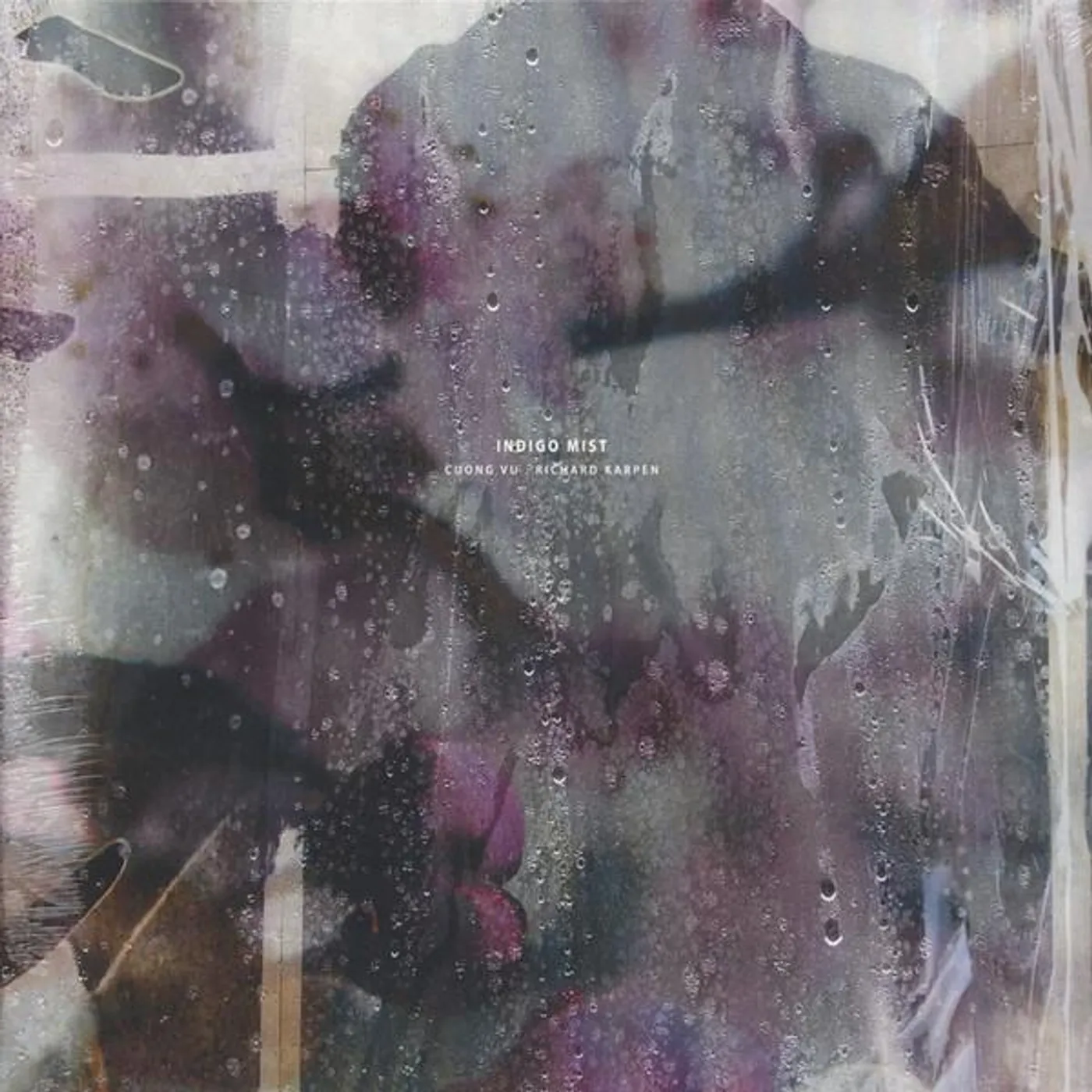 Indigo Mist THAT THE DAYS GO BY & NEVER COME AGAIN Vinyl Record