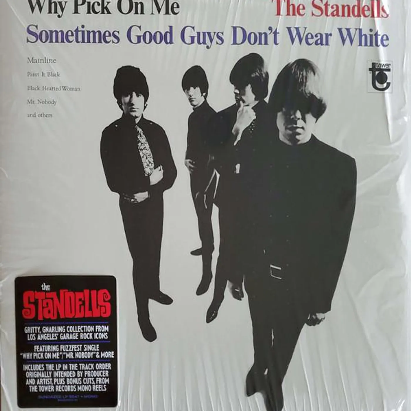 The Standells WHY PICK ON ME Vinyl Record
