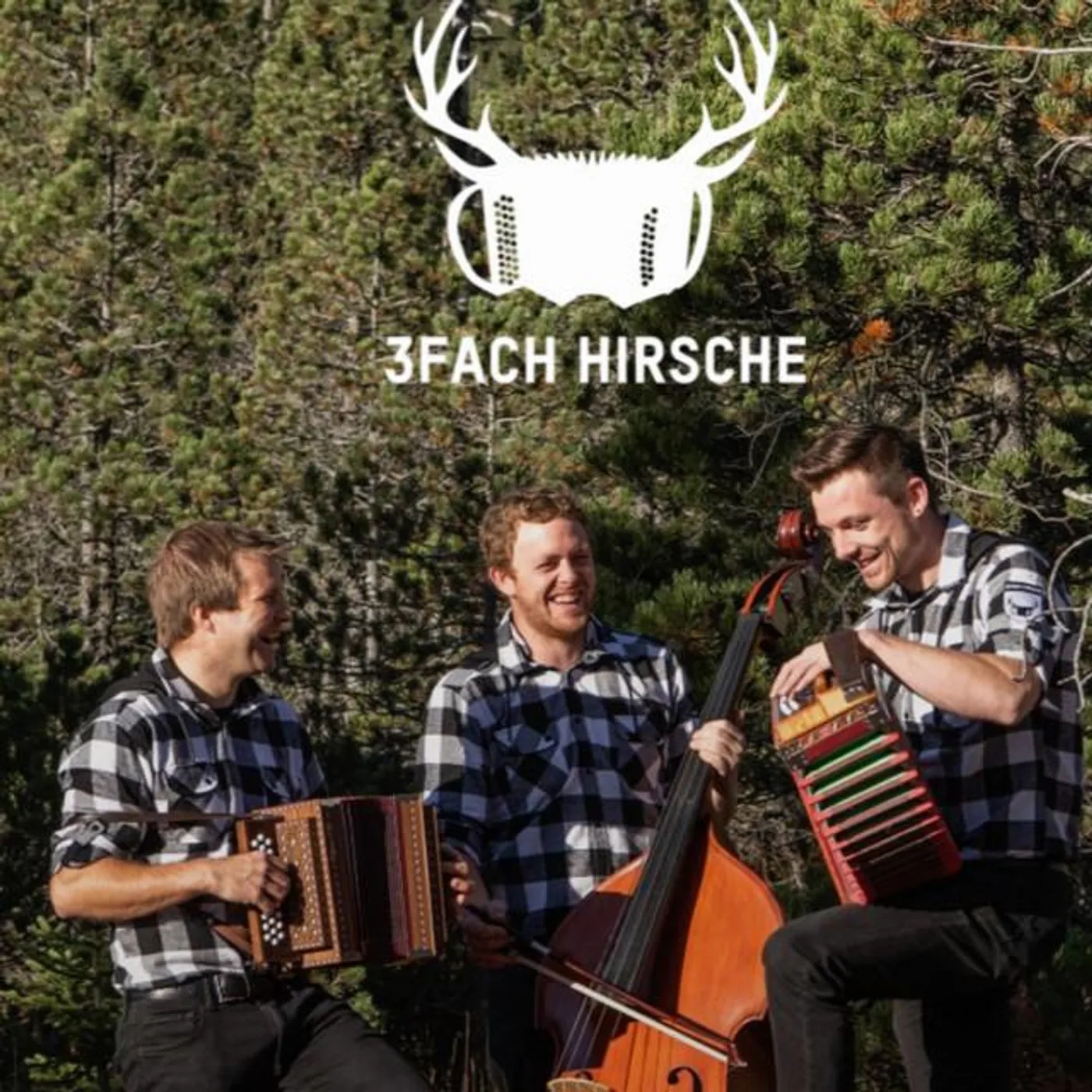 3fach Hirsche