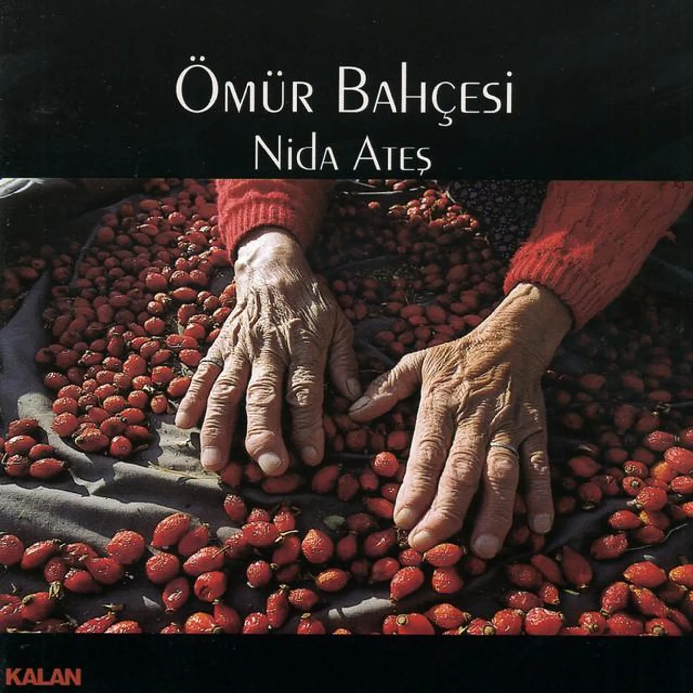 Nida Ateş