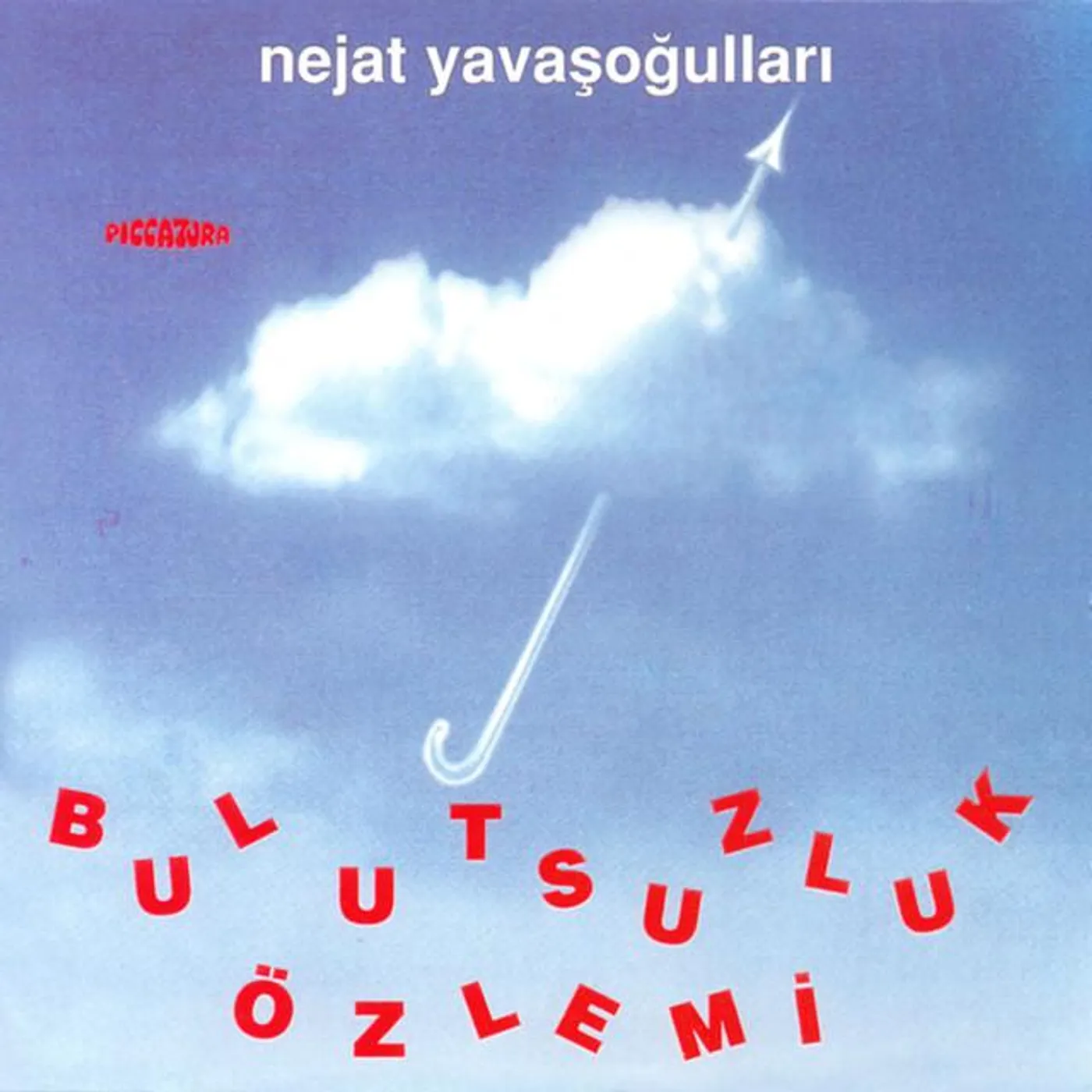 Nejat Yavaşoğulları