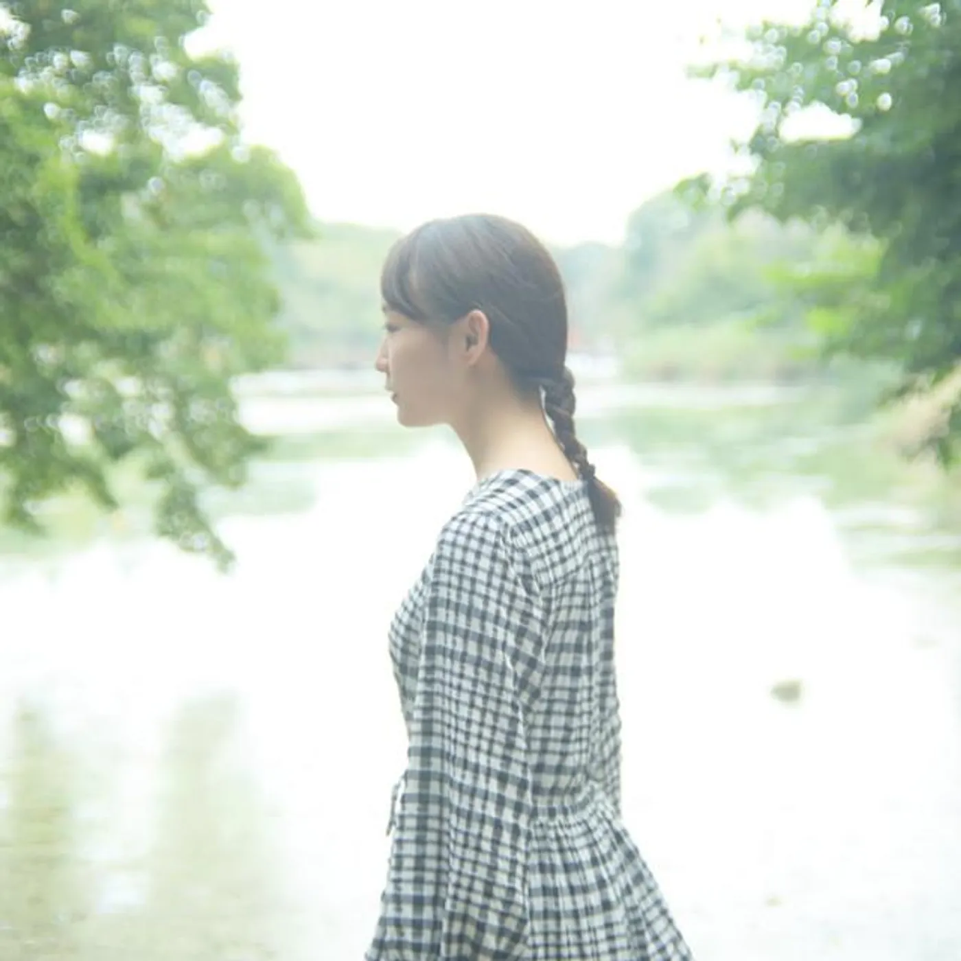 白と枝