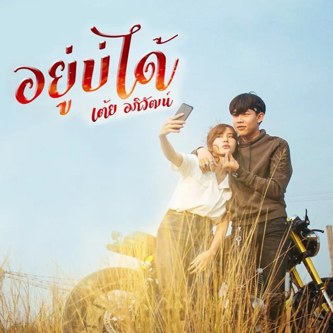 เต้ย อภิวัฒน์