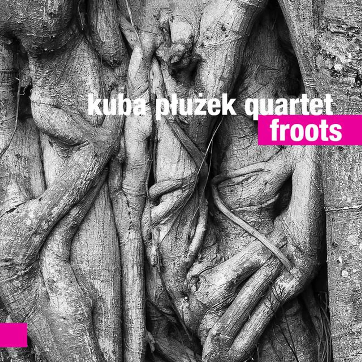 Kuba Płużek Quartet