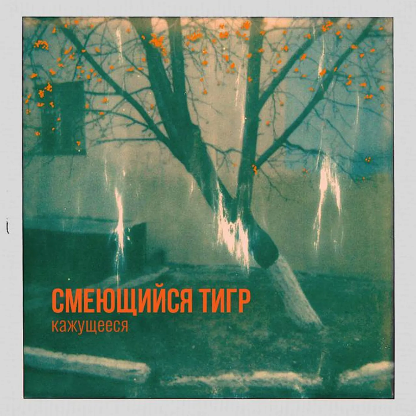 Смеющийся Тигр