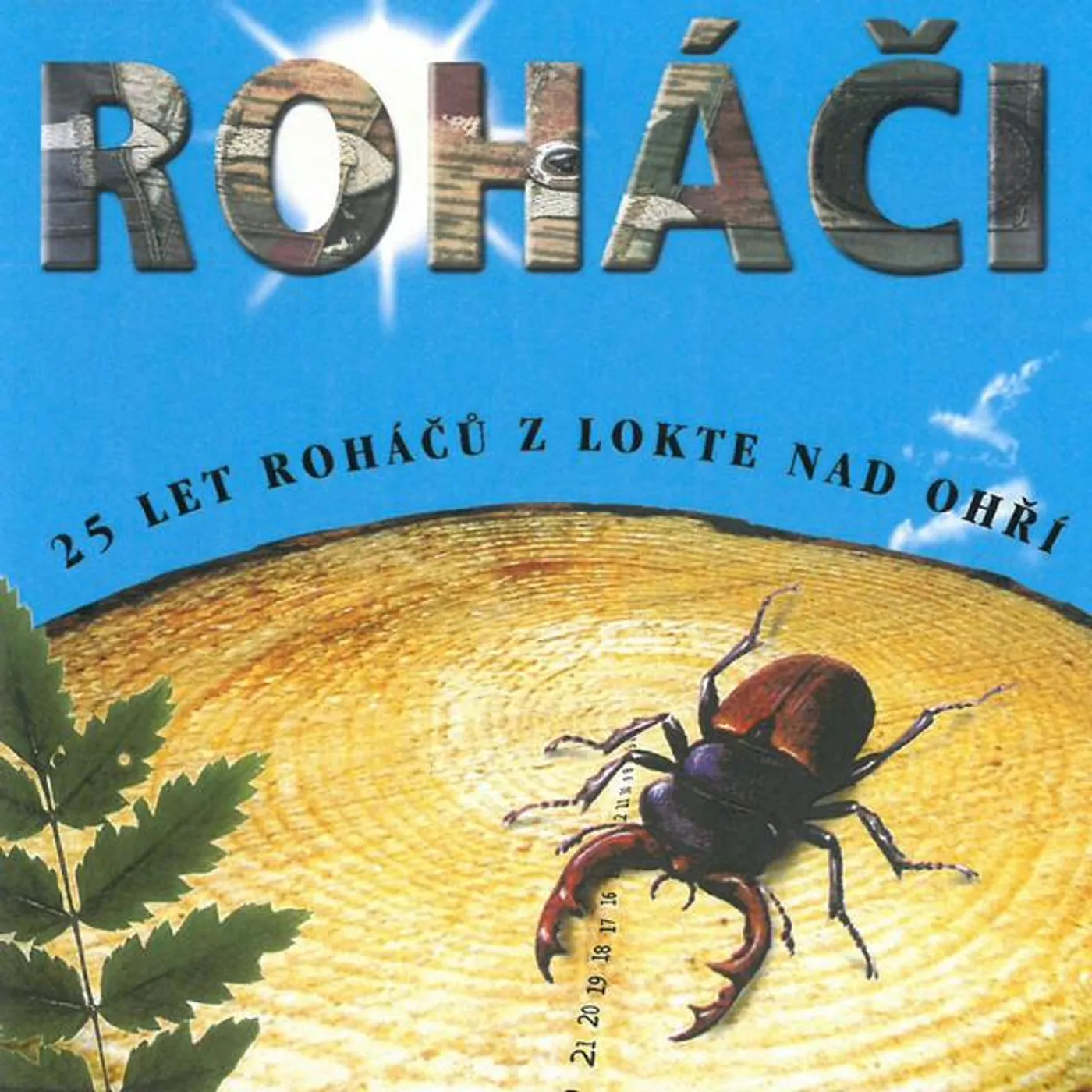 Roháči
