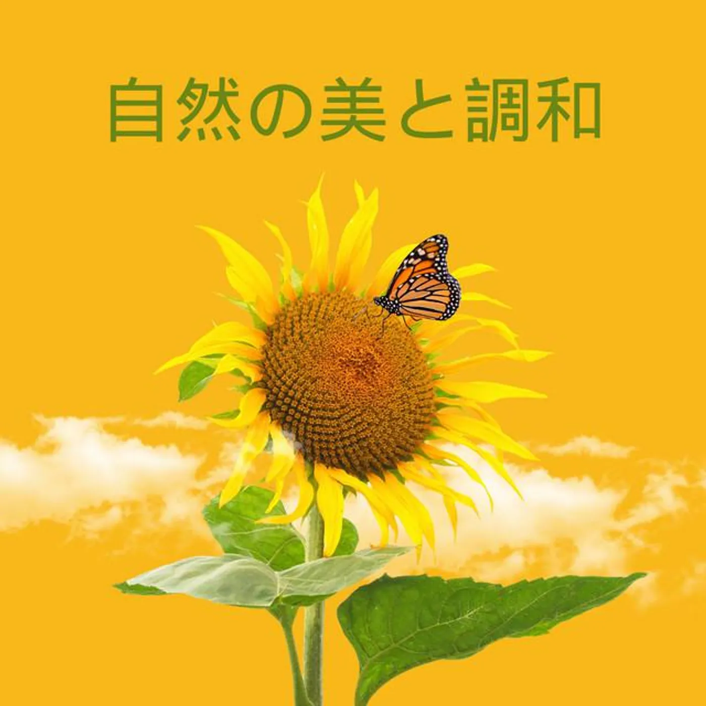 大山さん Brand Page