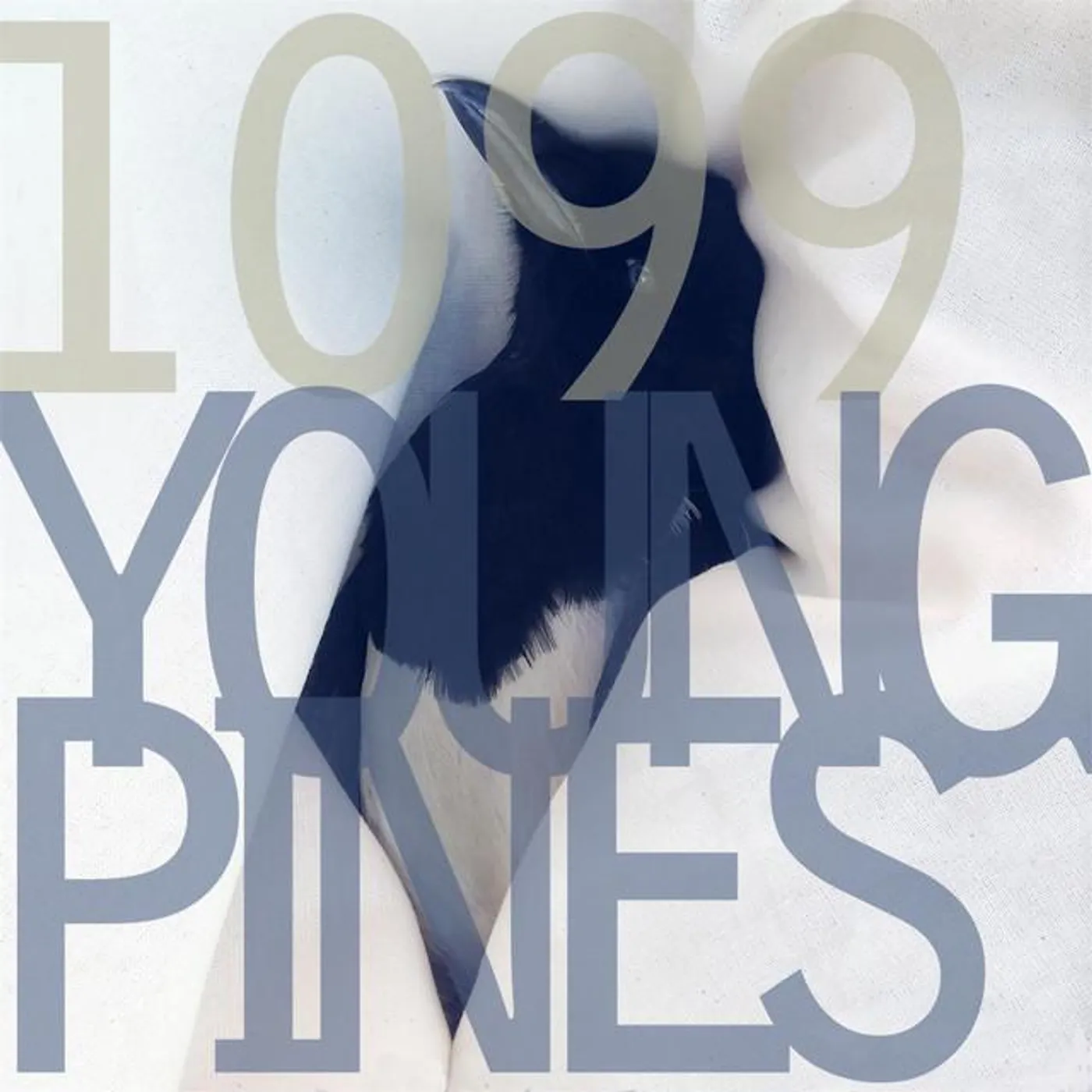 1099
