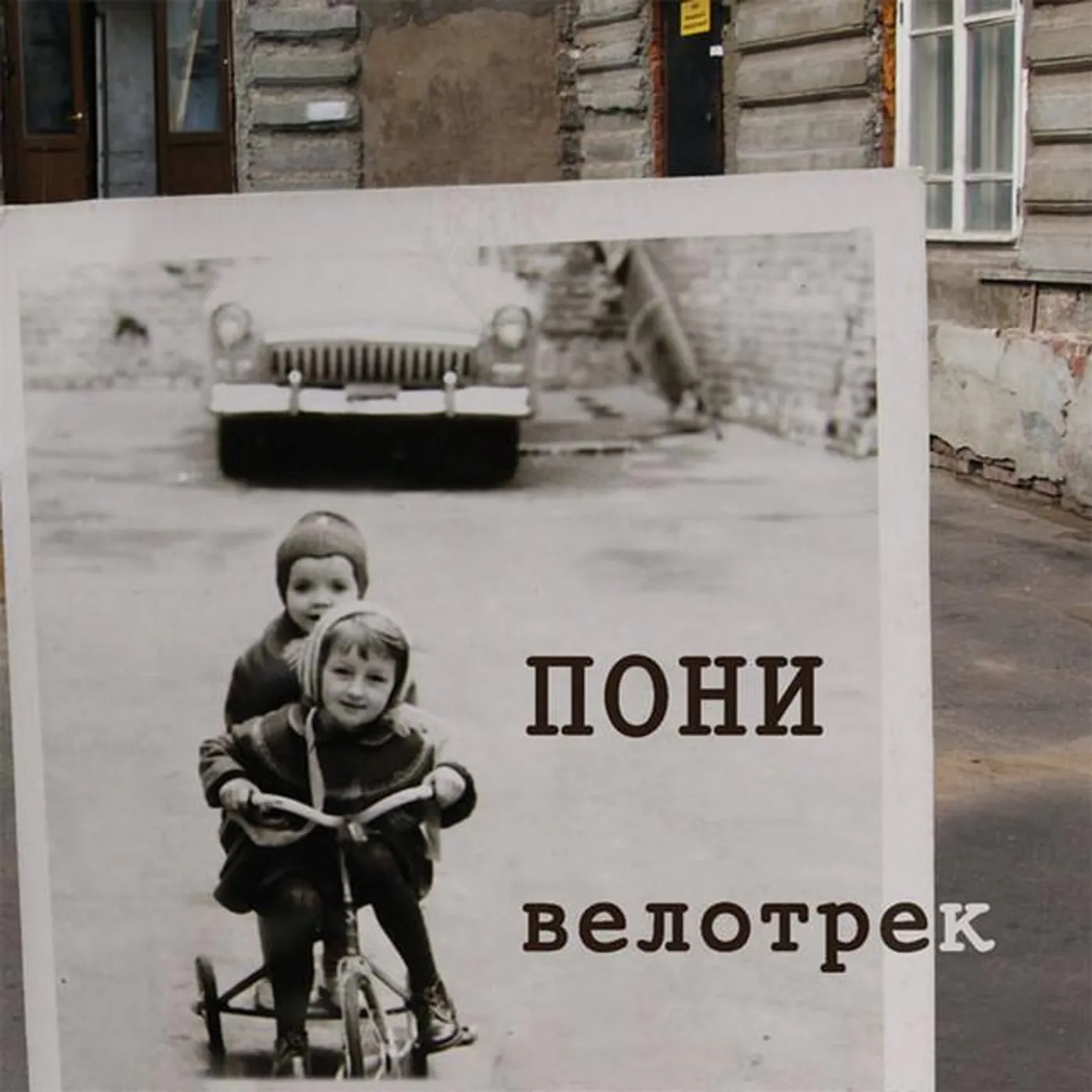 Пони