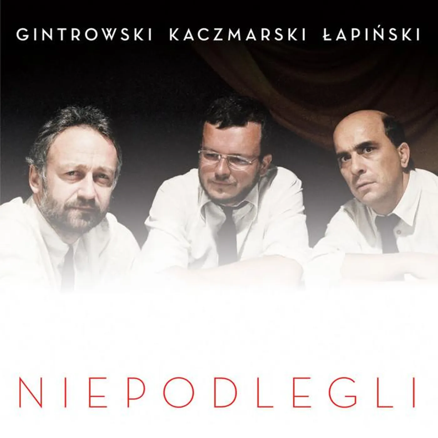 Przemysław Gintrowski Brand Page
